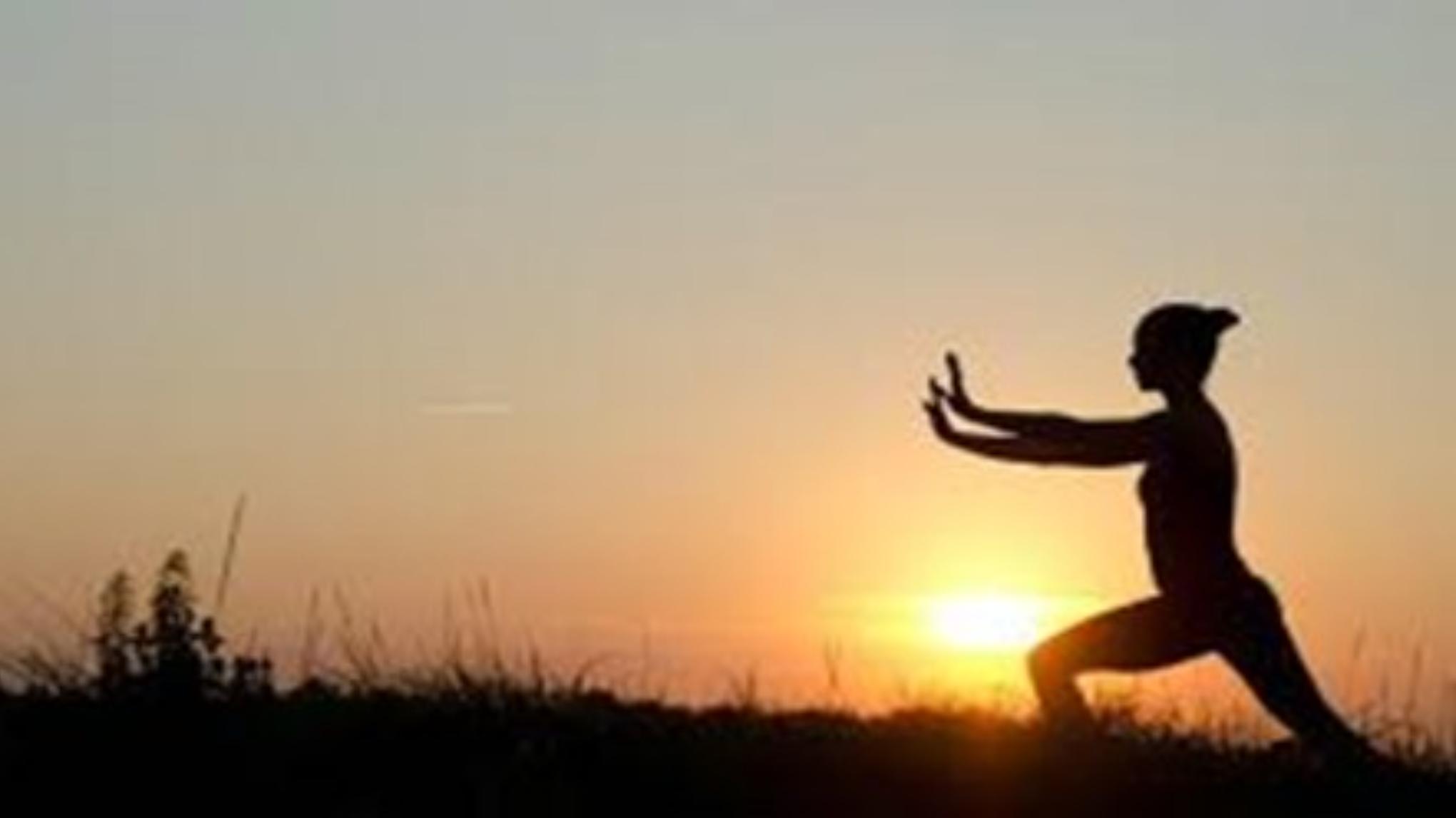 SOLD OUT- ☯️ Zen Tai Chi Workshop Level 2 with Sifu Kim