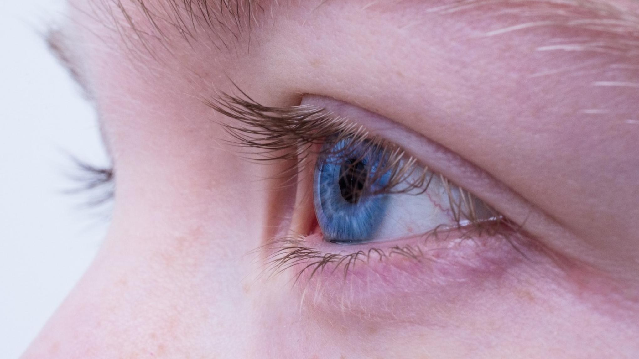 Workshop "Ganzheitliches Sehtraining"