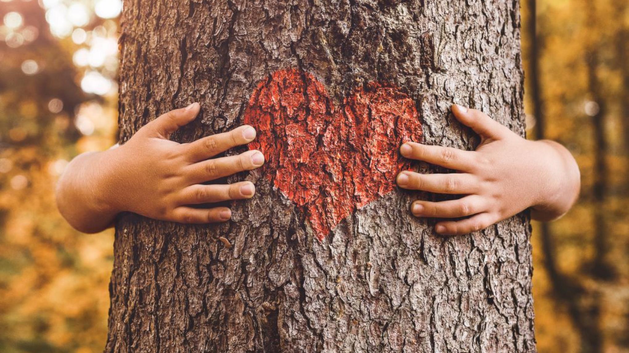 Ahnenzyklus: Abschlusskreis im Utopia