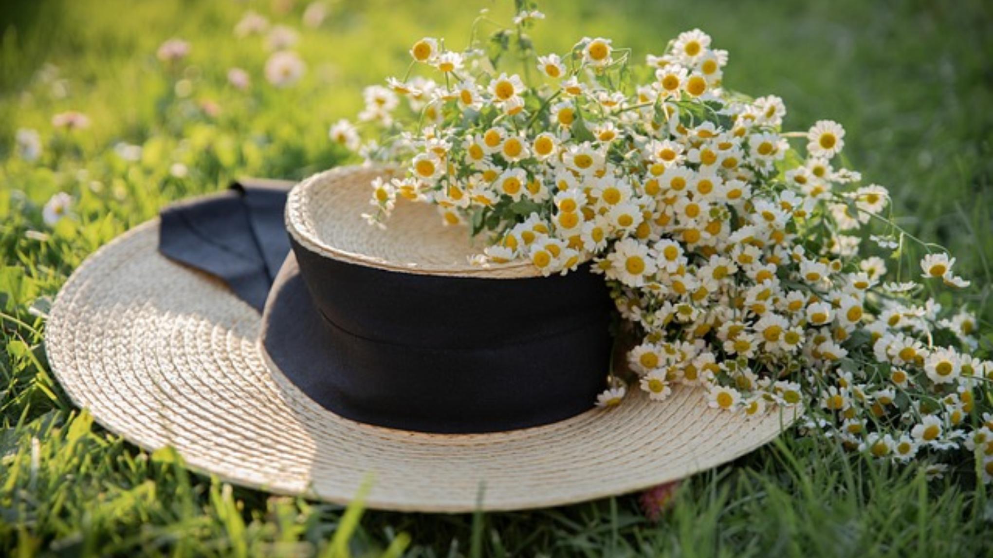 SAISON "PRINTEMPS"     prévoir 1h30