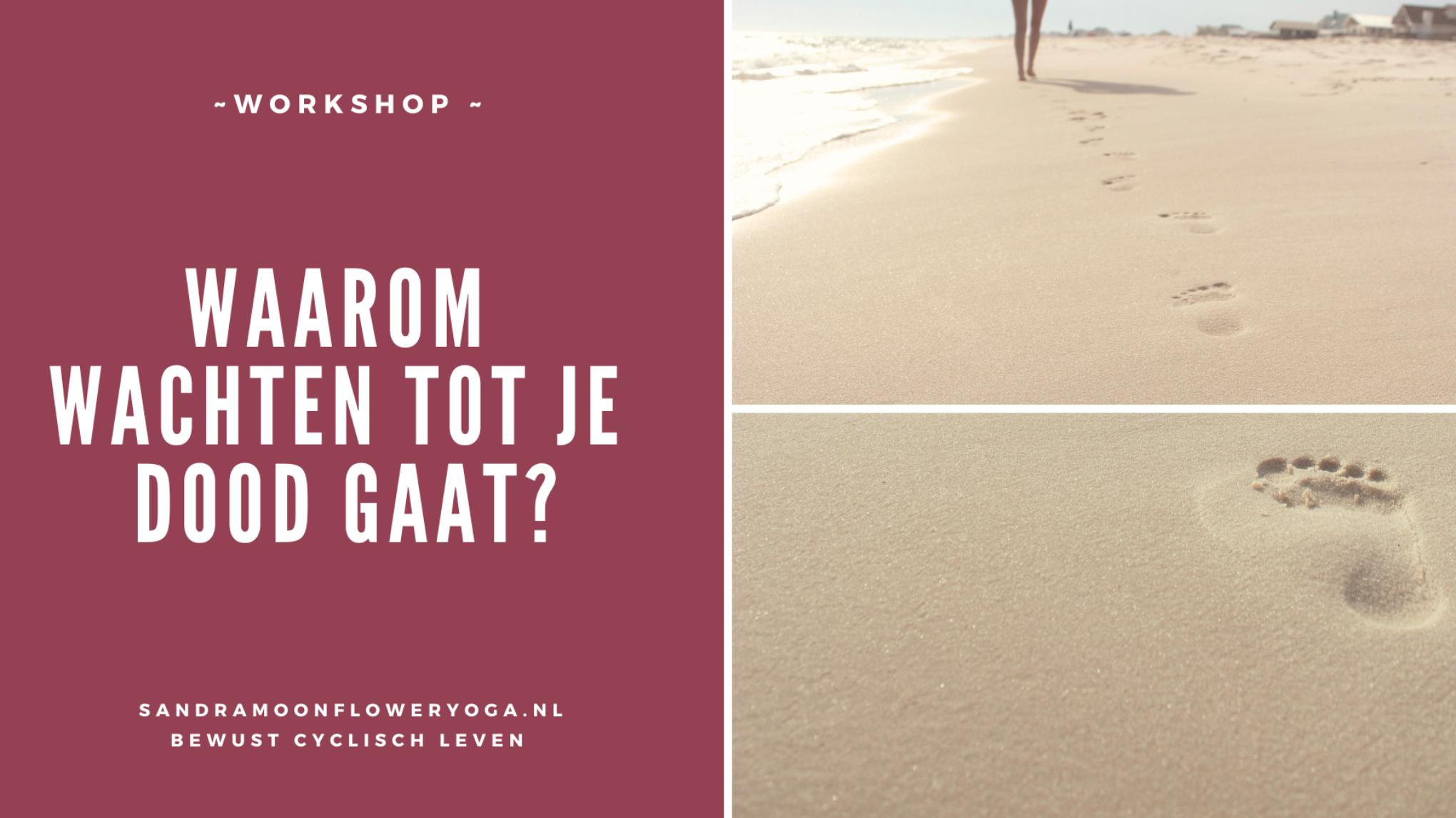 Waarom wachten tot je dood gaat? - VOLGEBOEKT