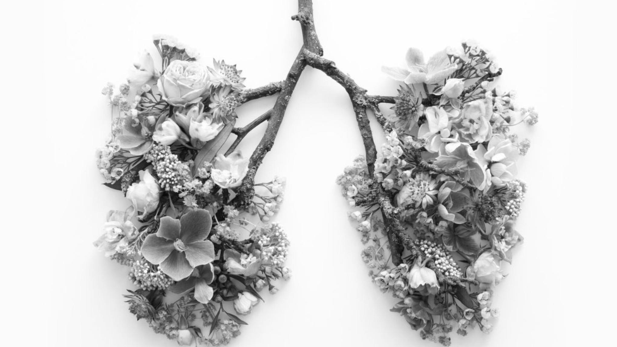 LESSENREEKS Gezond Ademen & Hartcoherentie (Elisabeth)