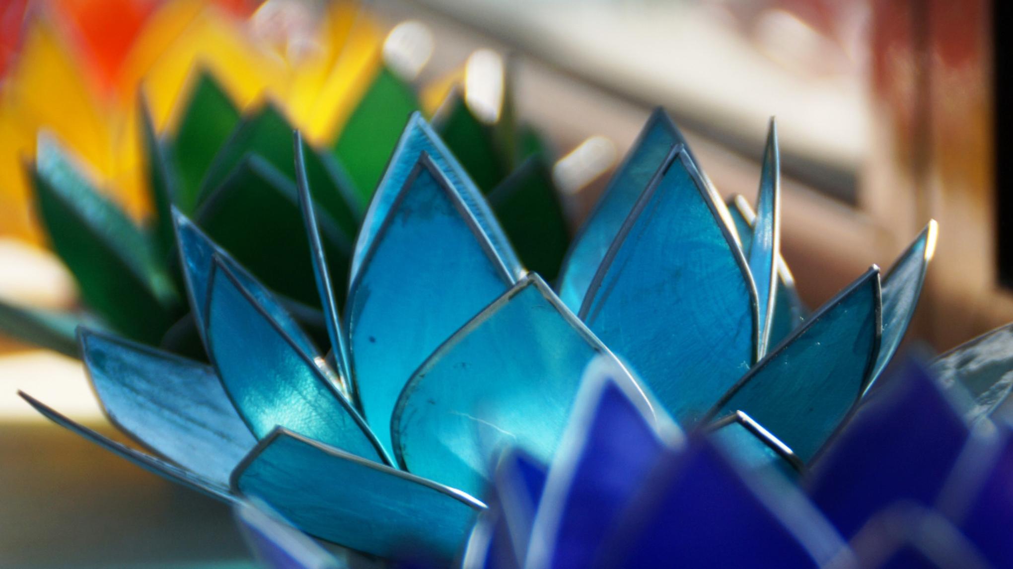 Workshop Reis door de chakra's