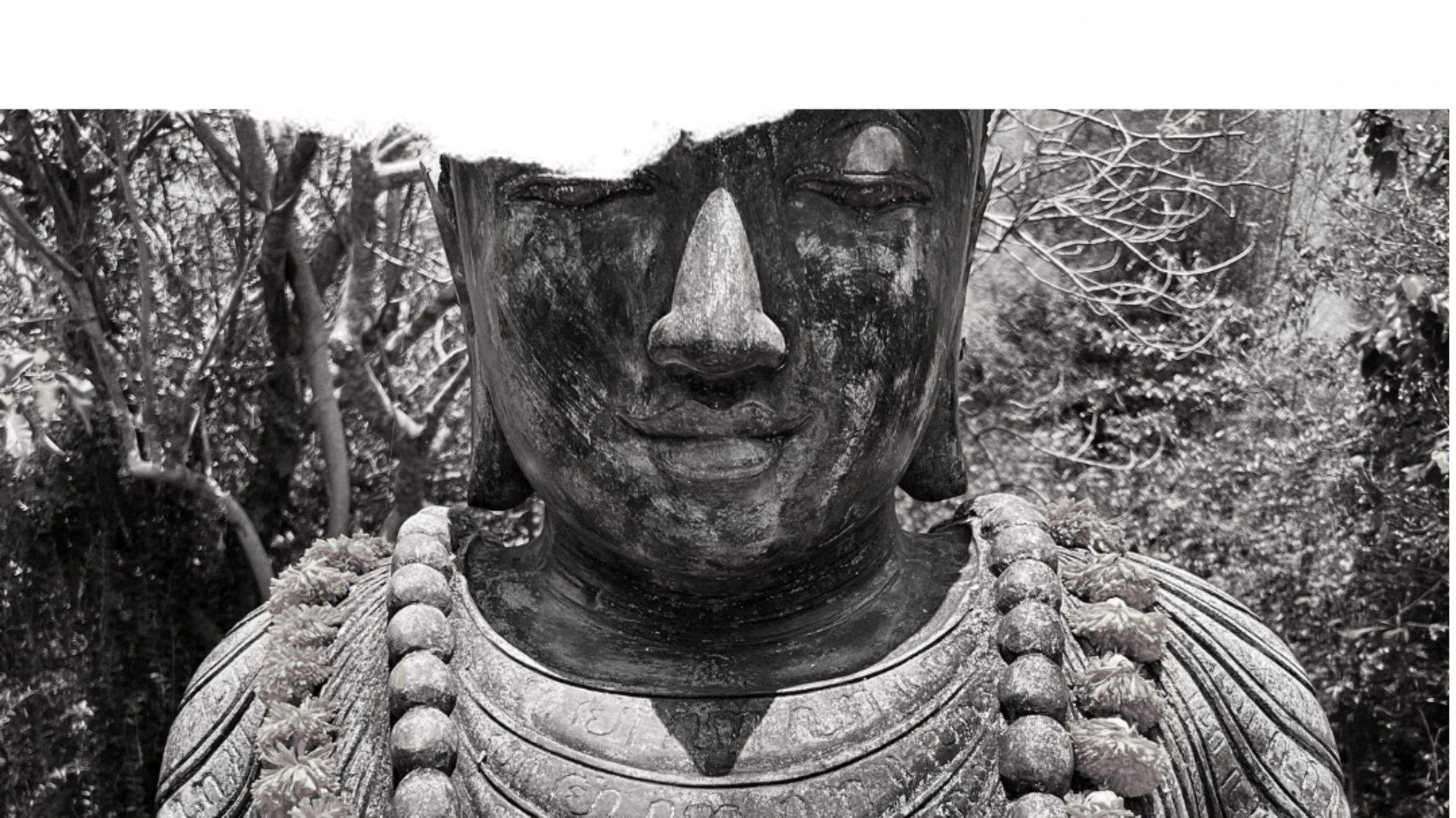 Restorative yoga - + pranayama (ademhaling) & lange meditatie