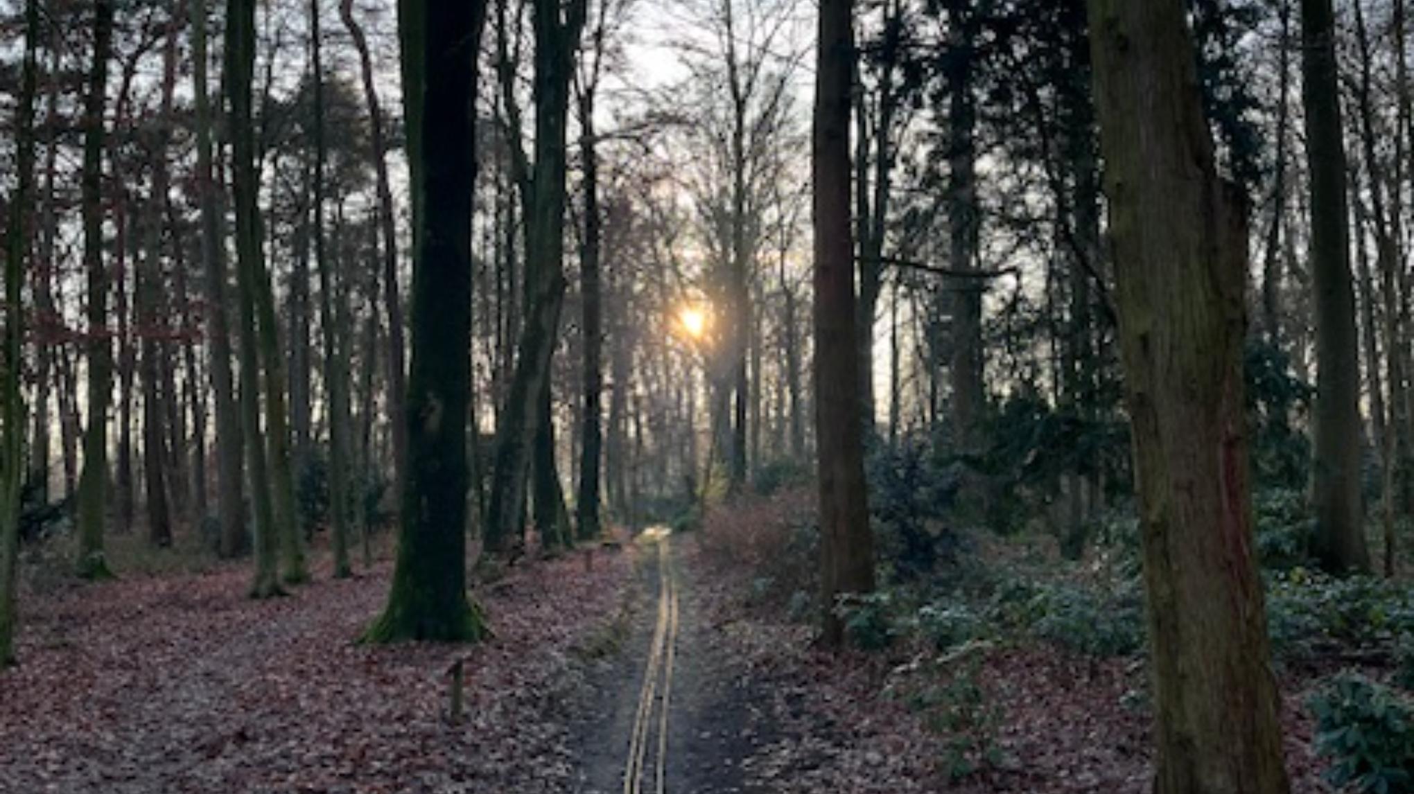 Ervaar de stilte in jezelf