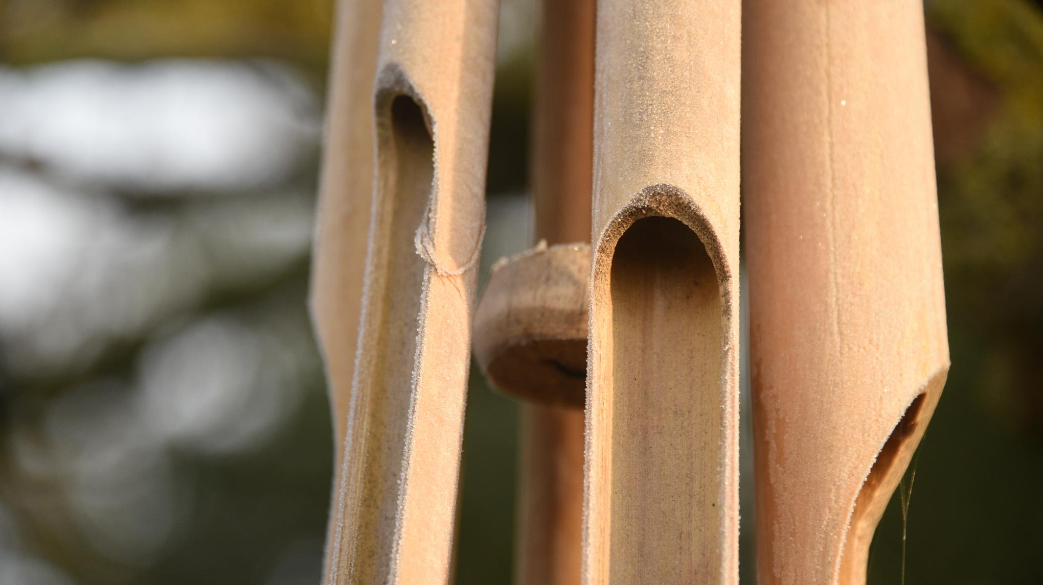 Bain Sonore Nocturne 🌙✨