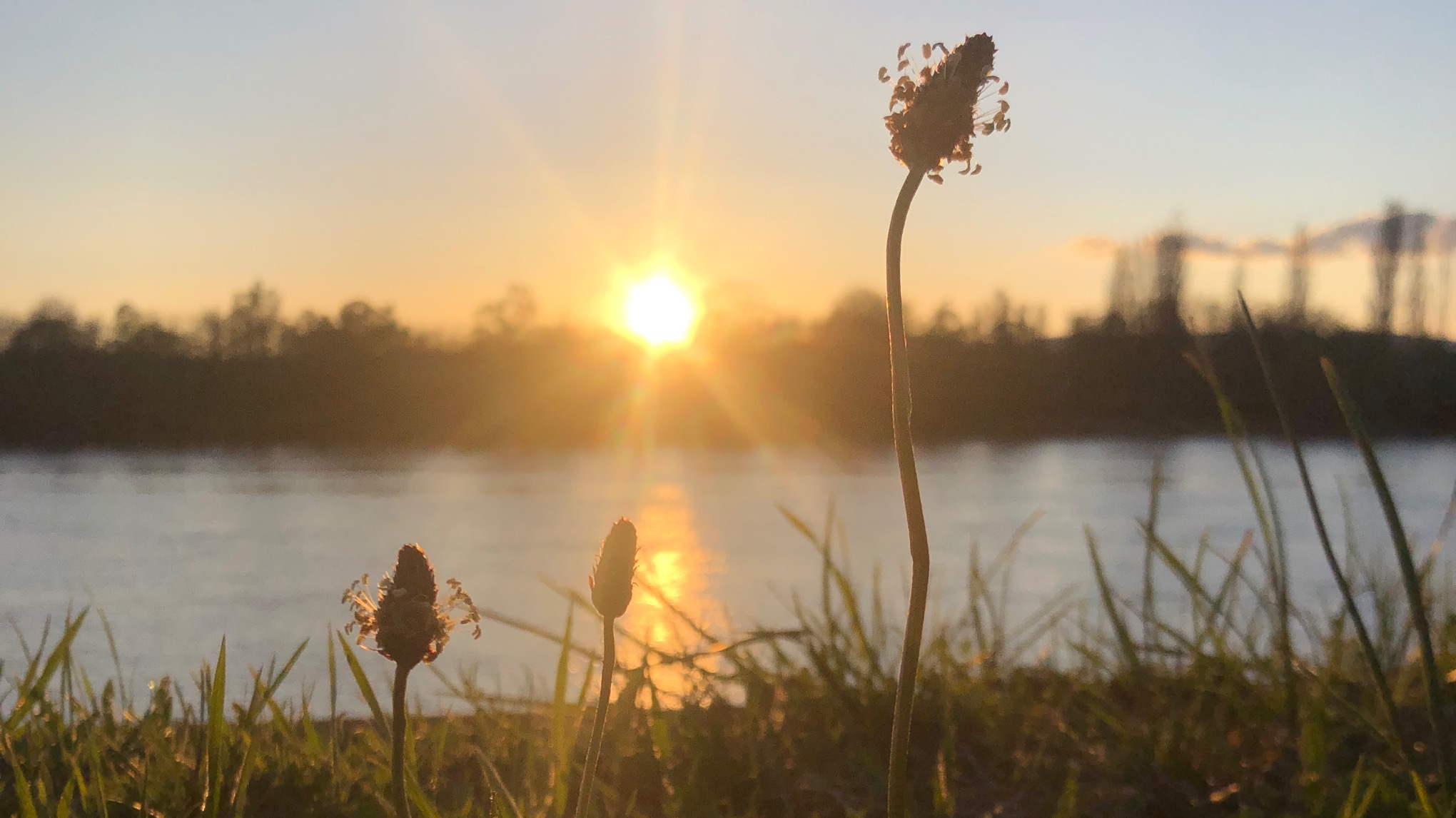 Meditatieve mantracirkel