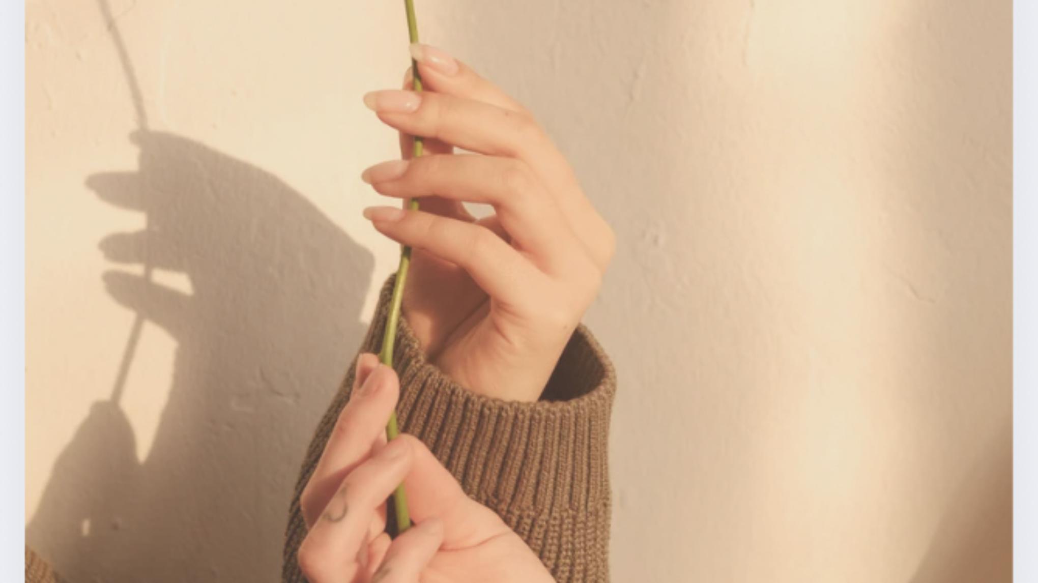 Atelier SLOW #3 // YOGA + NATURO (système digestif+auto-massage)