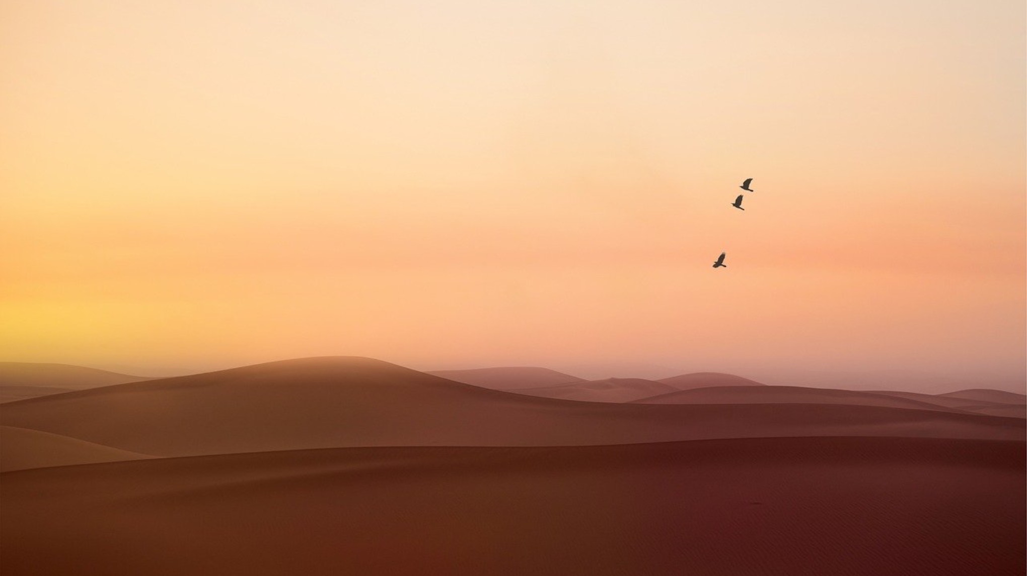 Constellations Processus de l’Etre Sacré