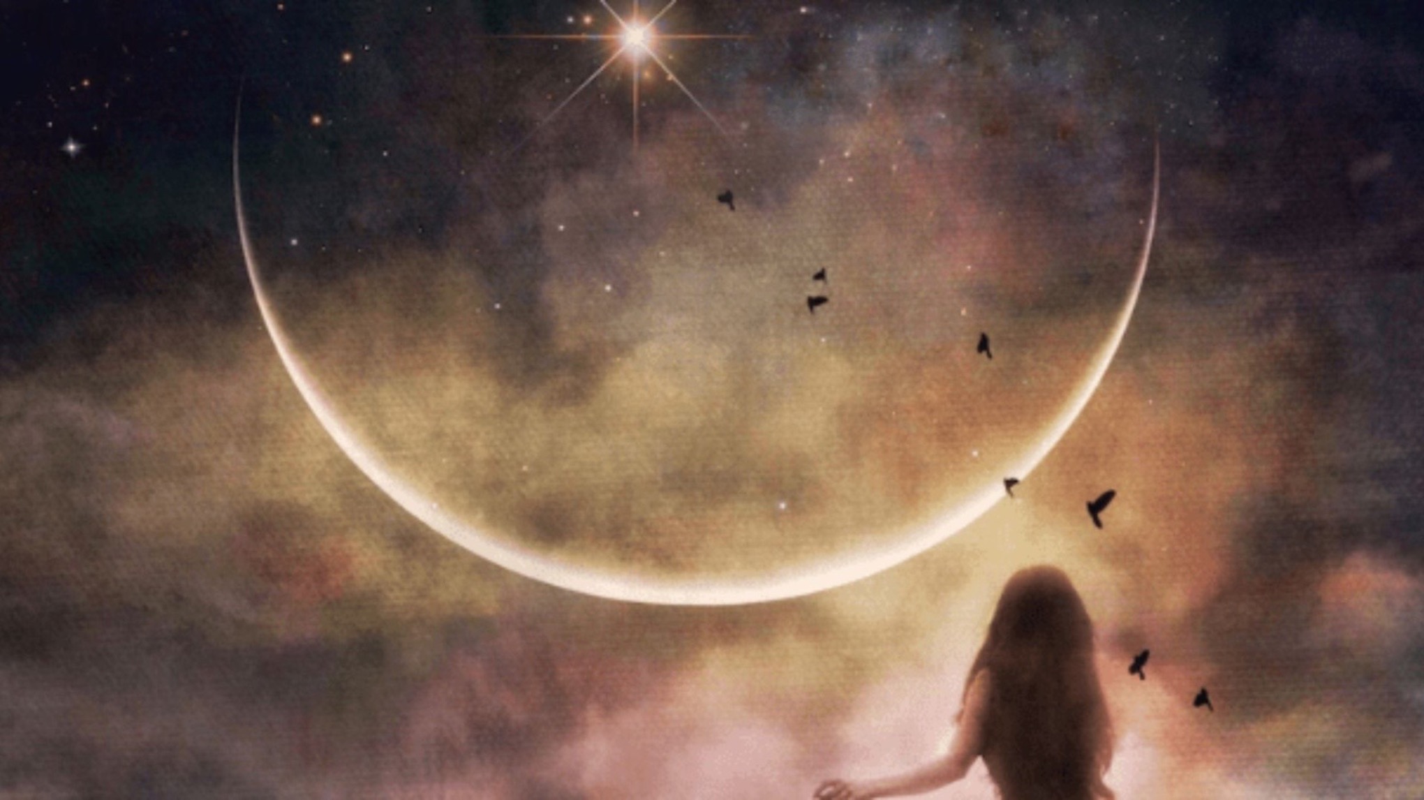 🌙New Moon Bliss🌙