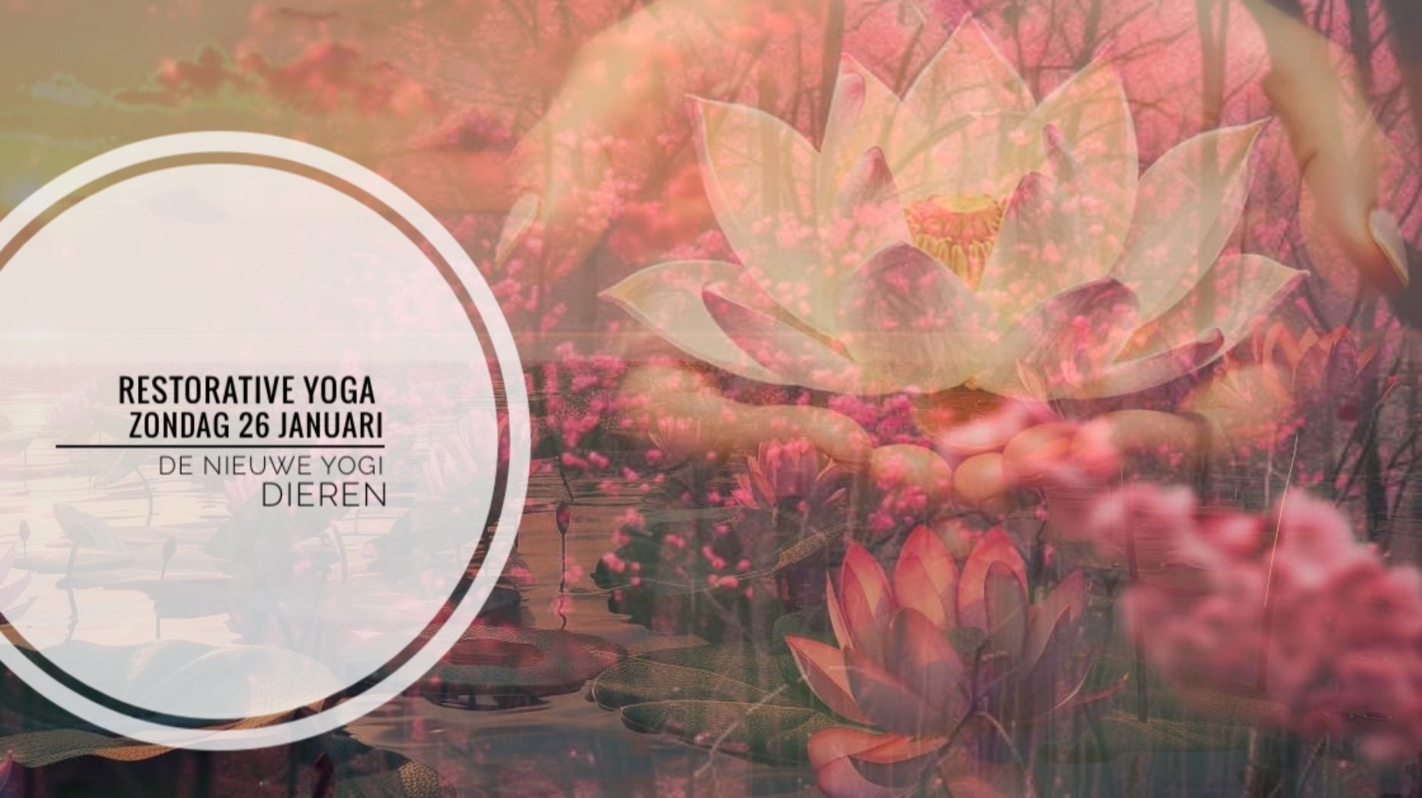 RESTORATIVE YOGA SPECIAL