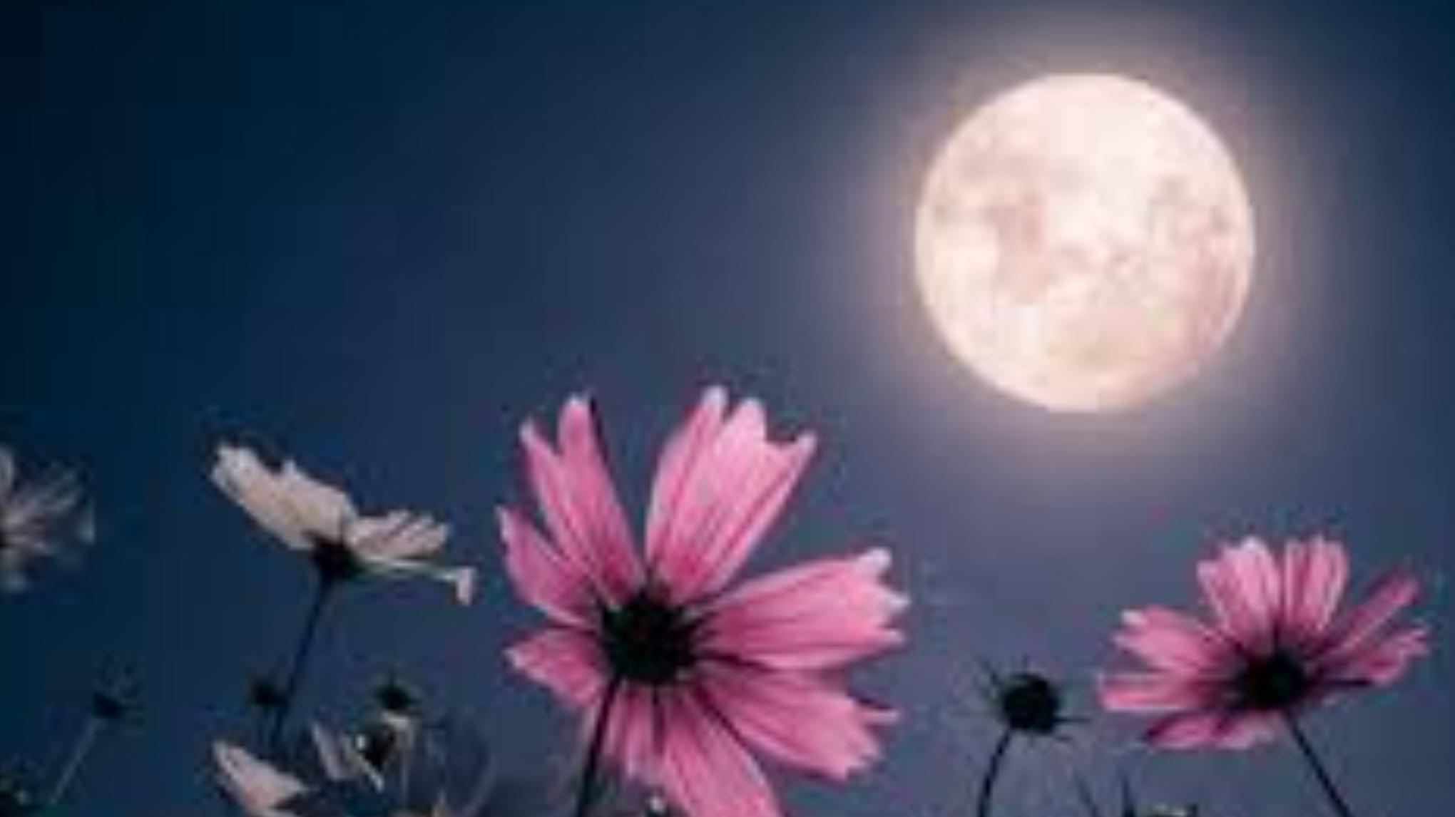 Volle maan meditatie