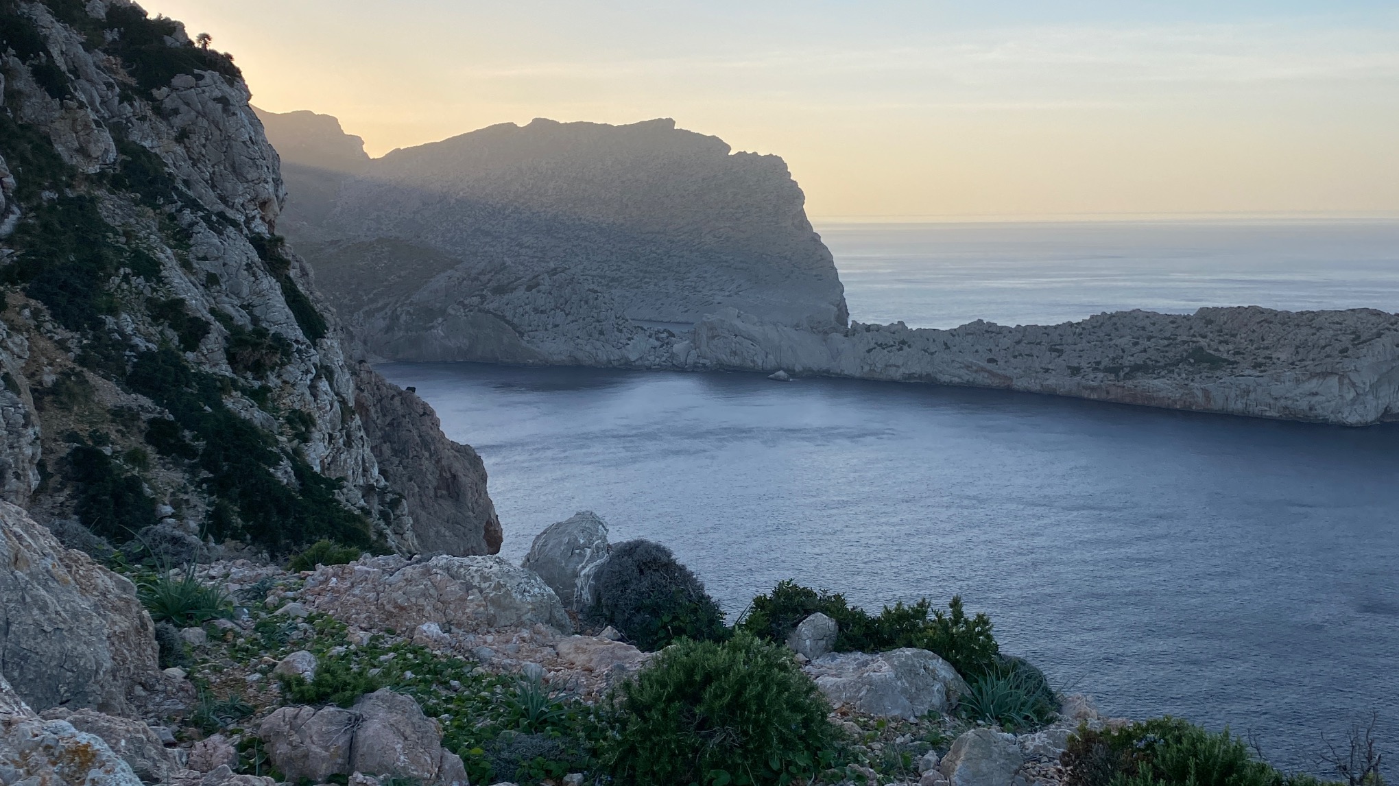 New Year’s Retreat - Manifest and Flow into 2026