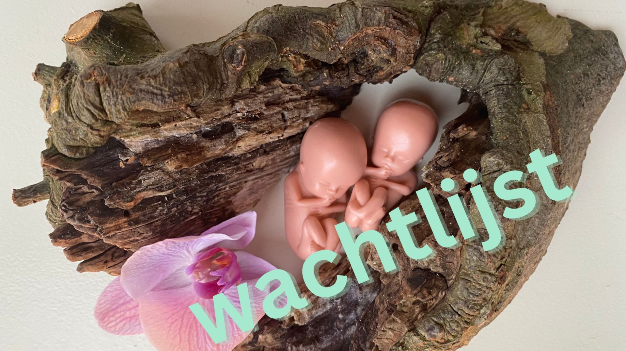 Alleen geboren tweeling heling weekend