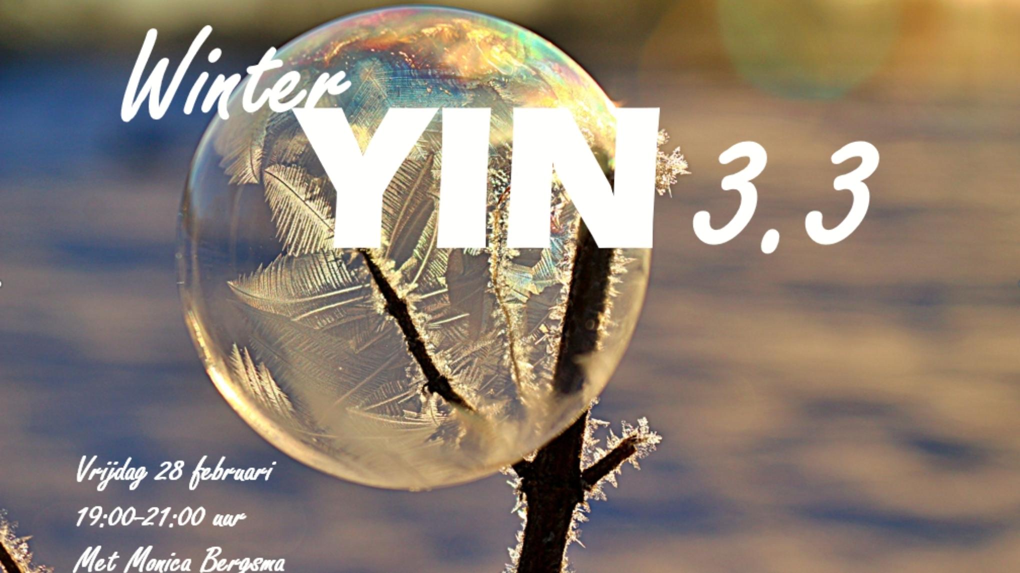 YIN special 3.3 met Monica Bergsma GAAT NIET DOOR HELAAS