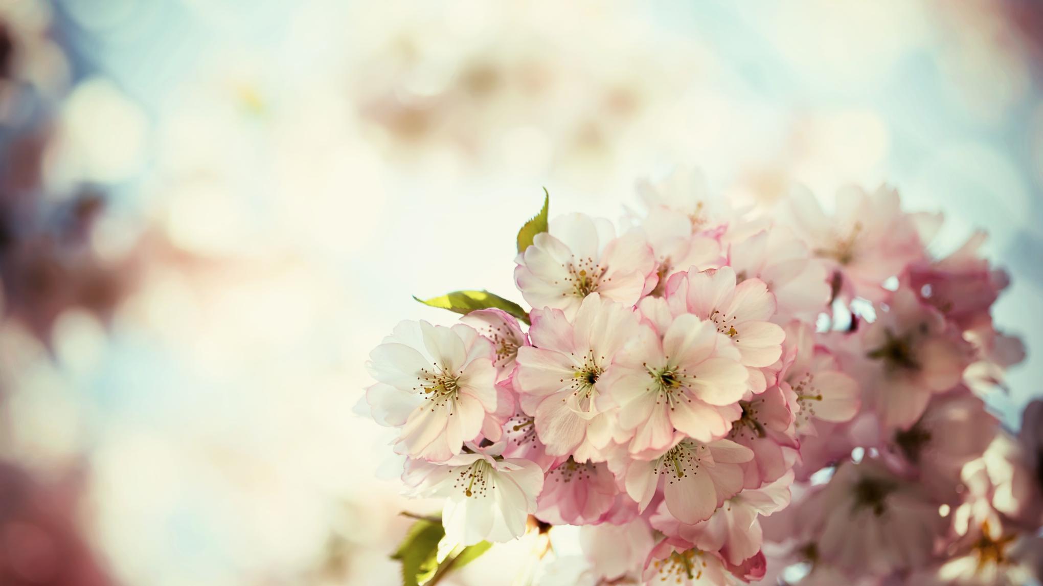 Easy on Sunday evening