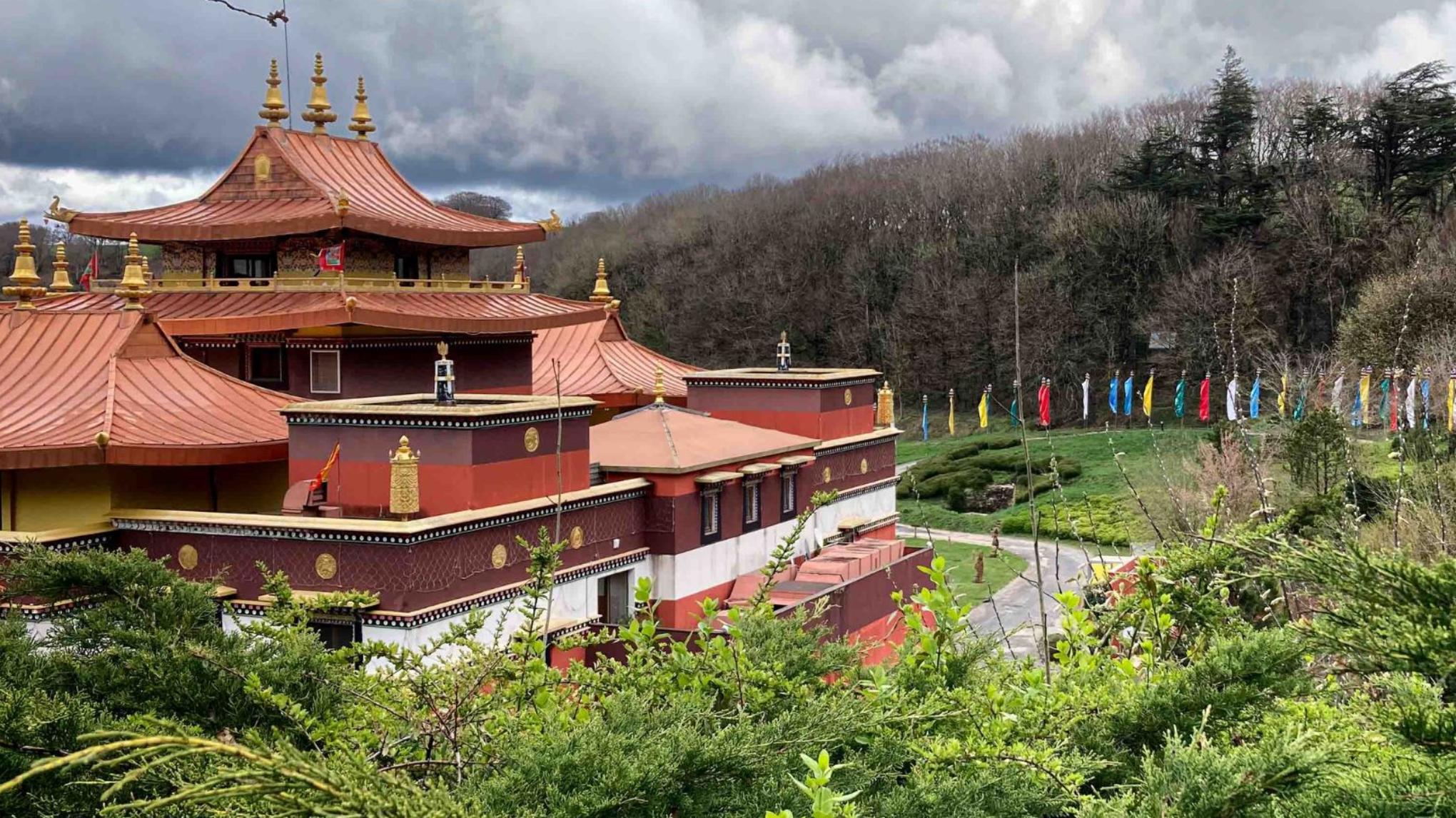 Retraite méditation et yoga - Cultiver la présence