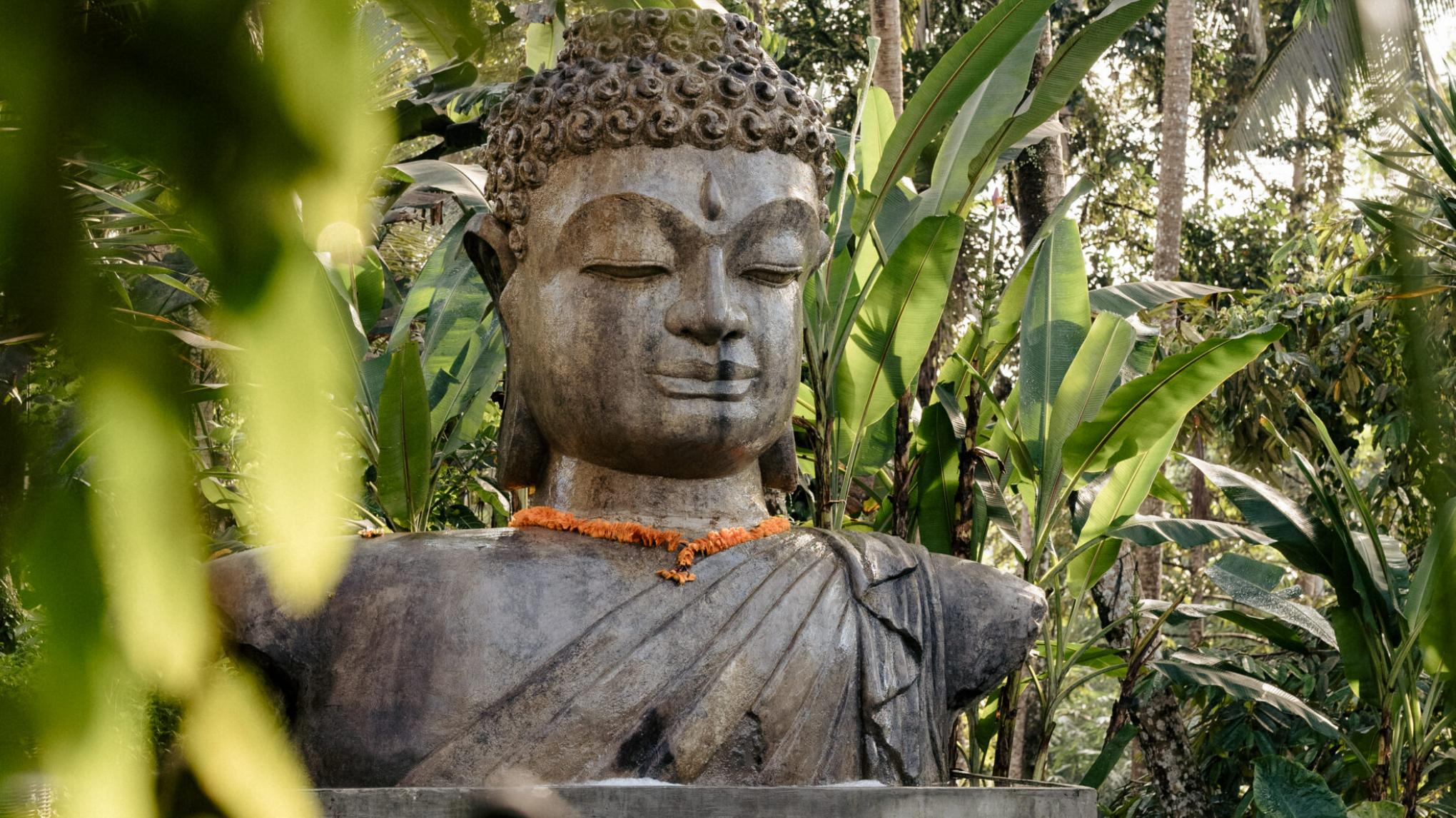 Yoga + Wellness Retreat Ubud, Bali