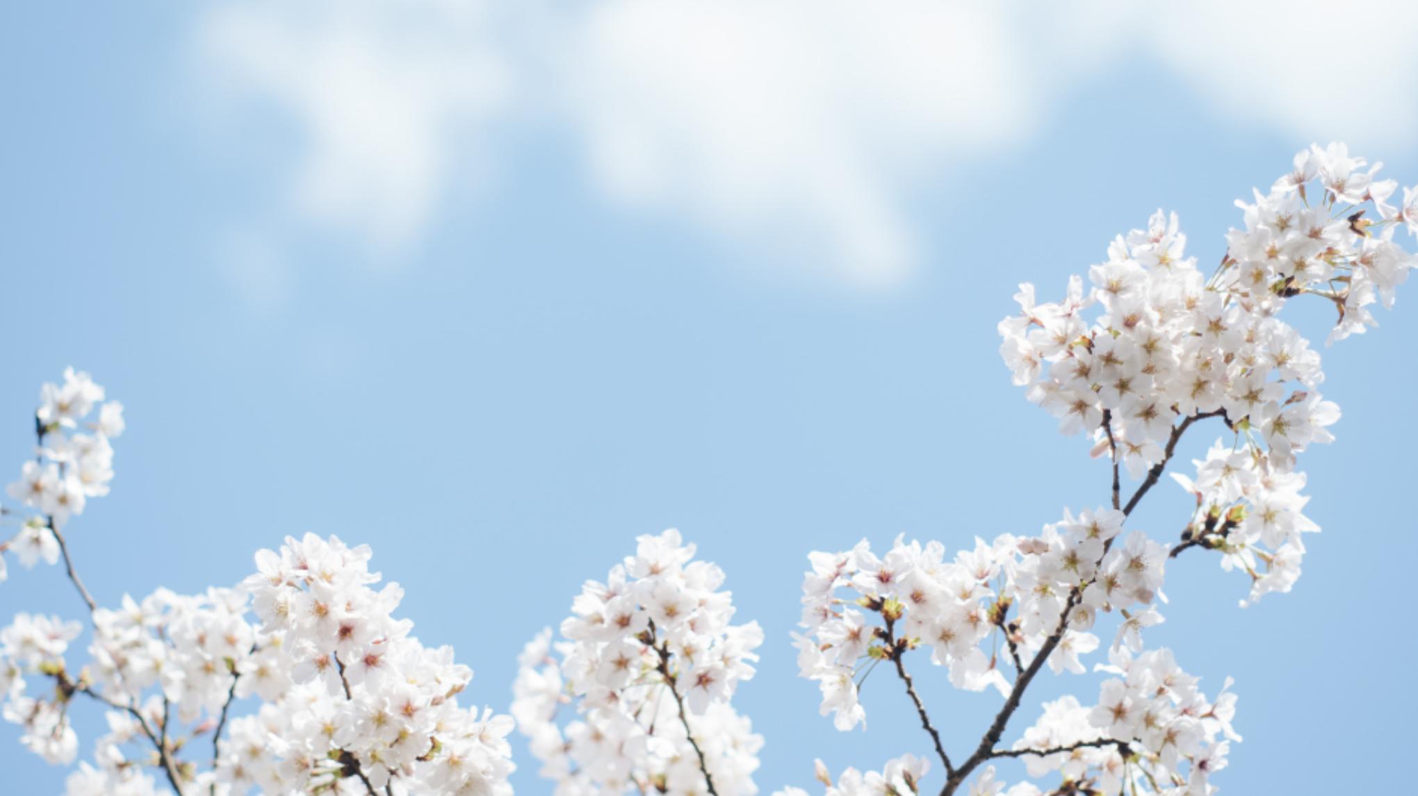 'Lente' mini retreat