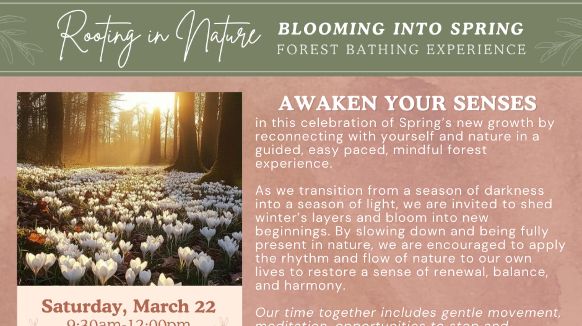 Blooming into Spring: a Forest Bathing Experience