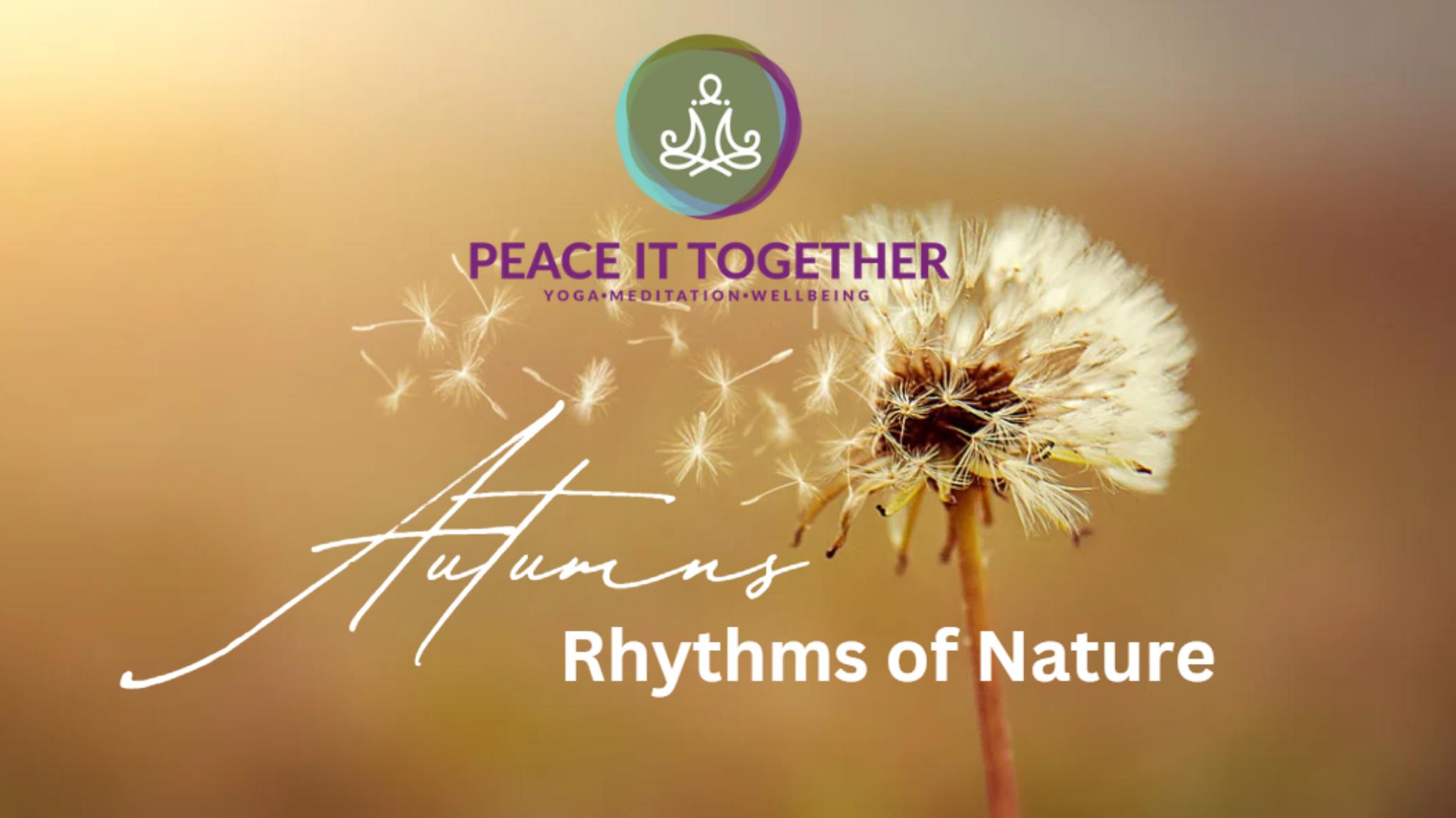 SPECIAL EVENT: Sunday Autumns Rhythms of Nature