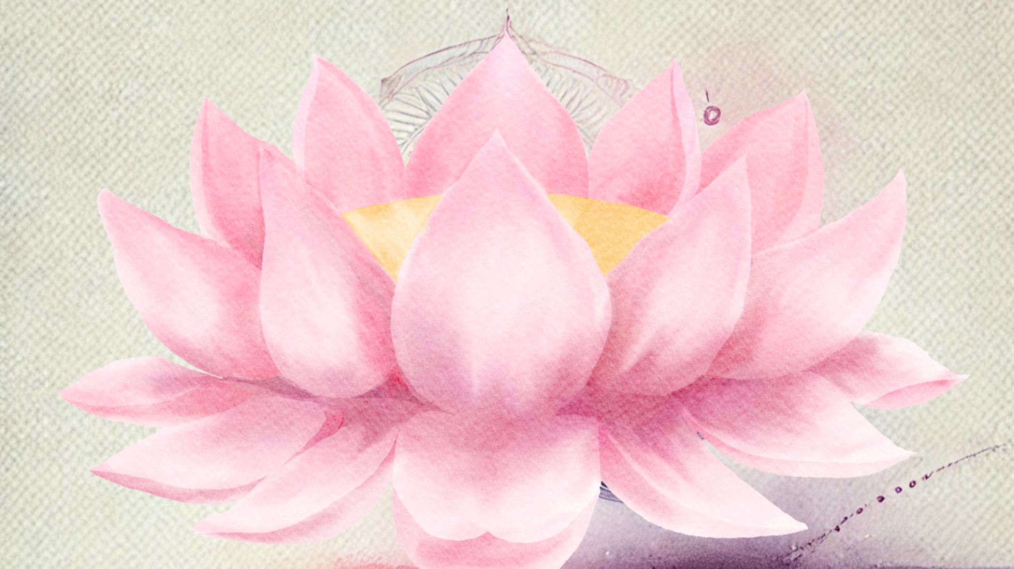 Glow Within – Hormonelle Balance & Schilddrüsenstärkung