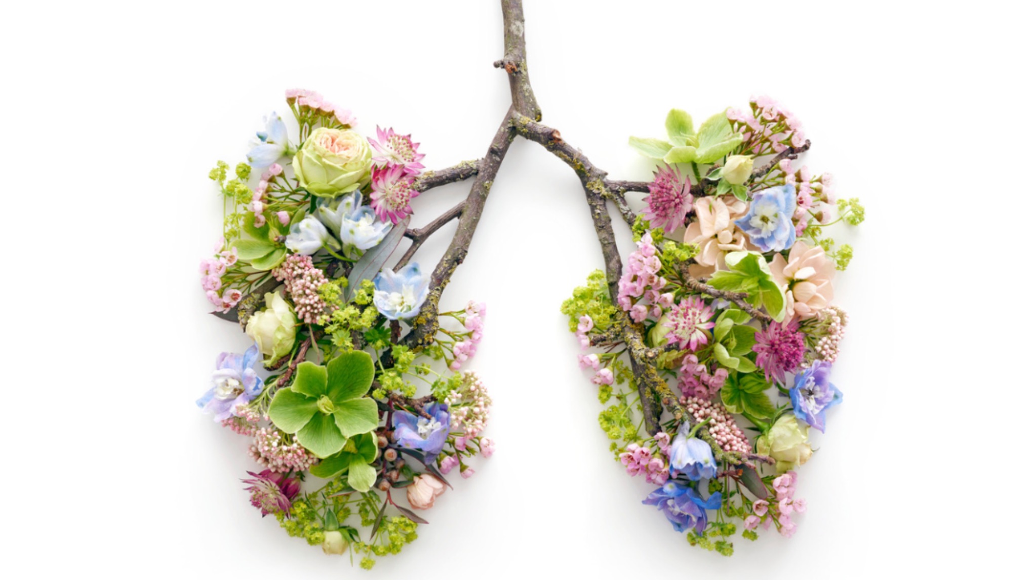 Une journée pour remettre du souffle dans sa vie