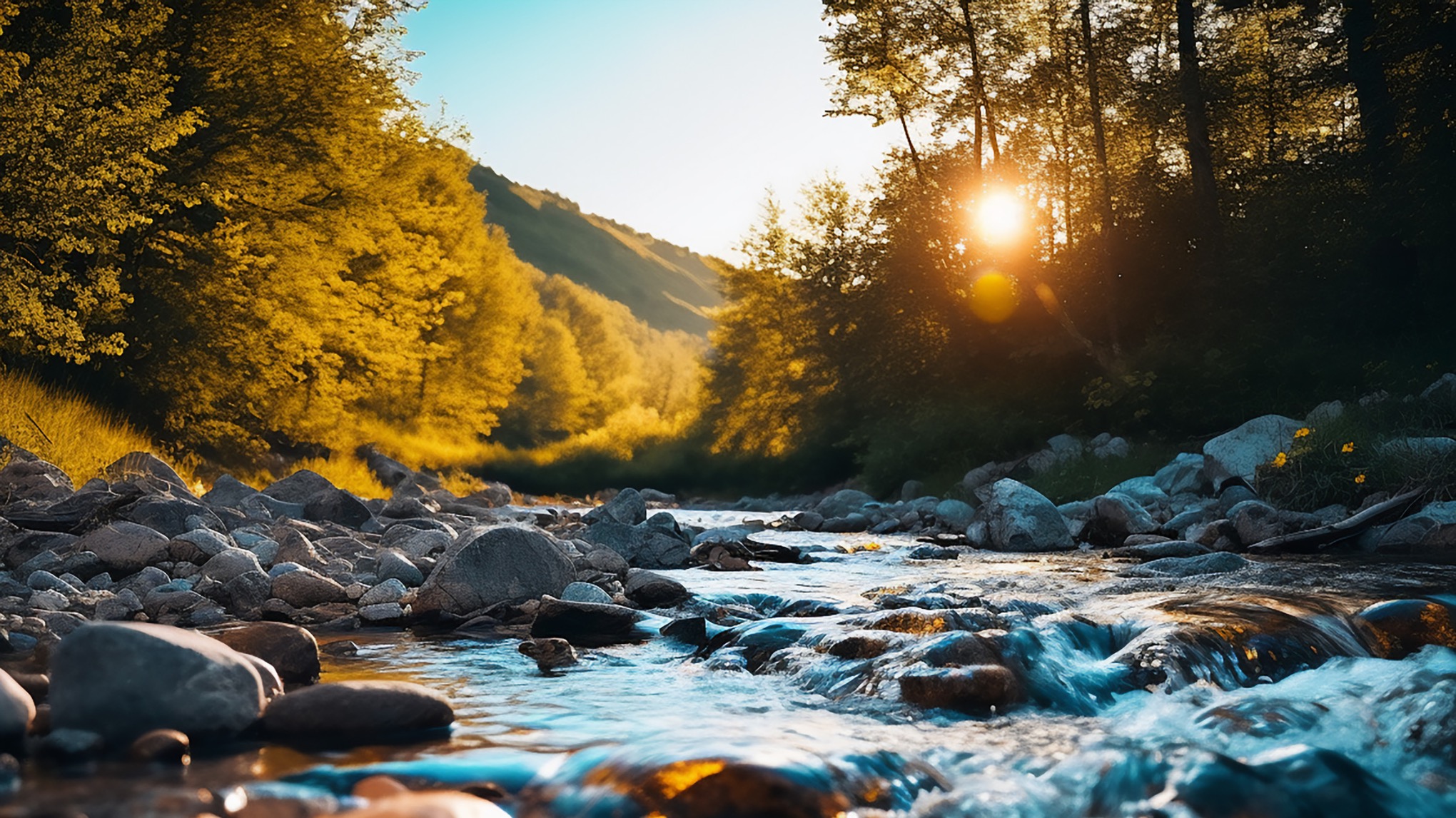 Cool Summer : calme ton feu émotionnel et retrouve un sommeil réparateur 💤