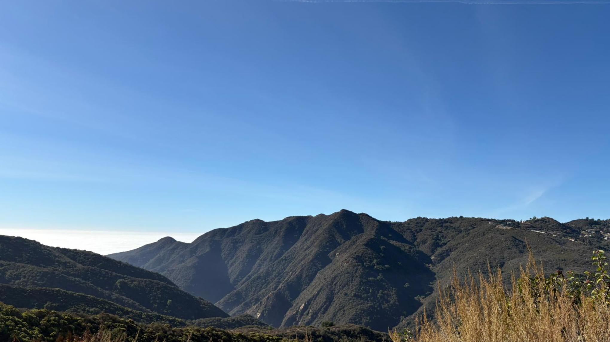 Hike 745am start/720am carpool: Switzer to Red Box Trail, Meditate & Brunch