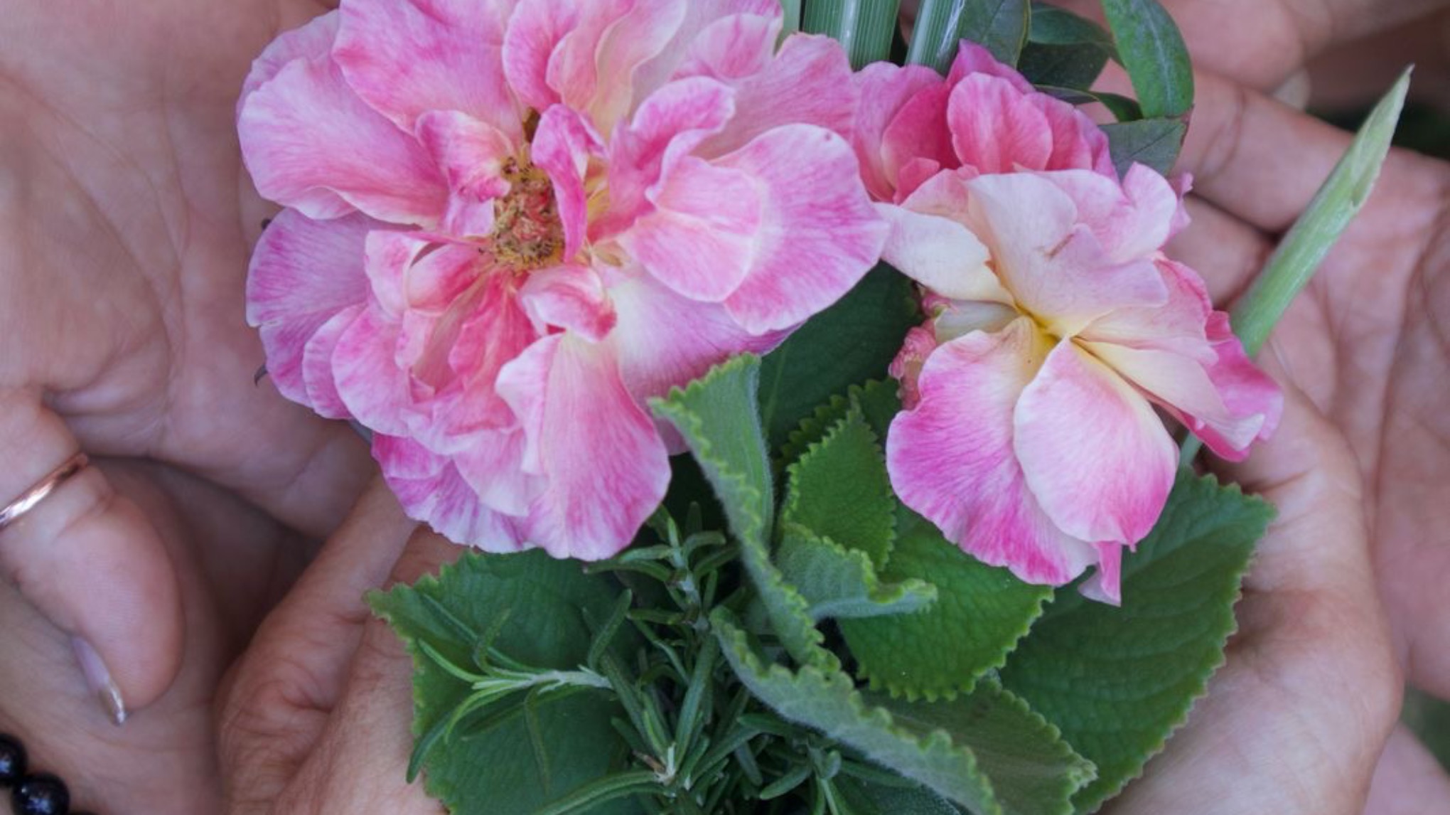 Women’s Health From Menstruation to Menopause: Understanding Womb Cycles in