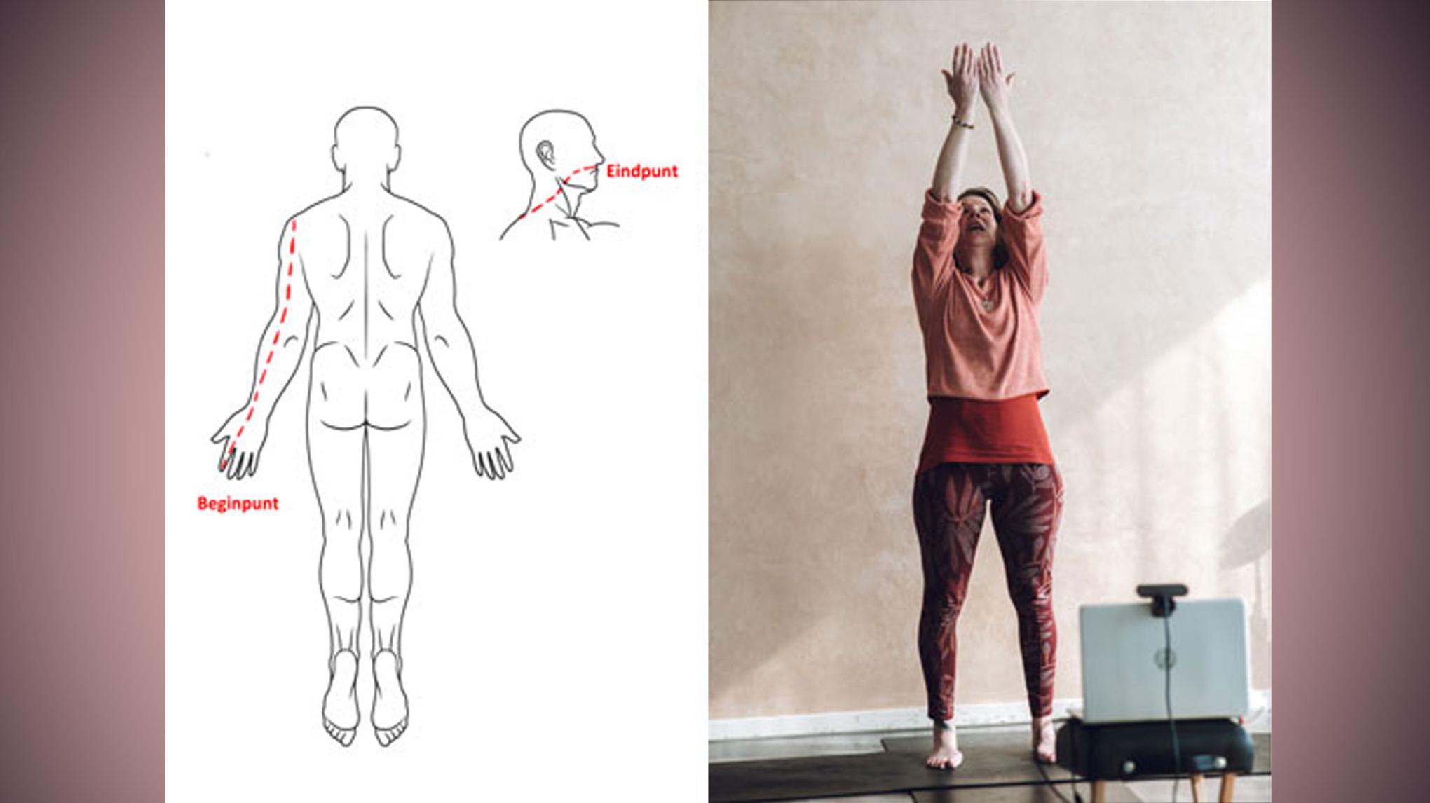 MERIDIAAN MASTERCLASS - OP LOKATIE