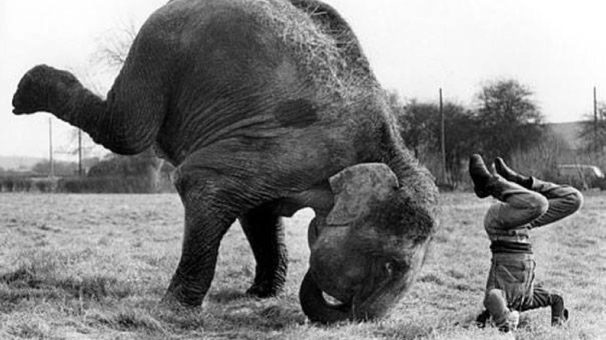 Atelier sur les inversions "Upside Down"