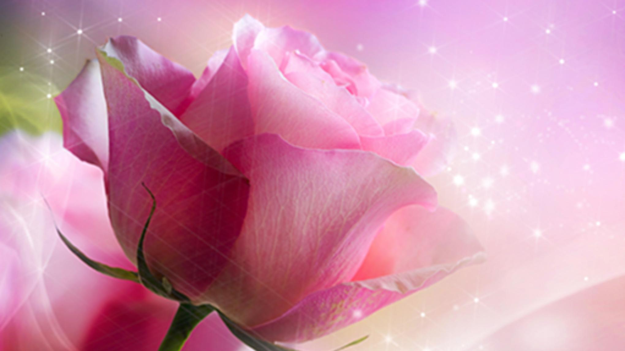WELLNESS DAY RETREAT - A Sanctuary of Healing