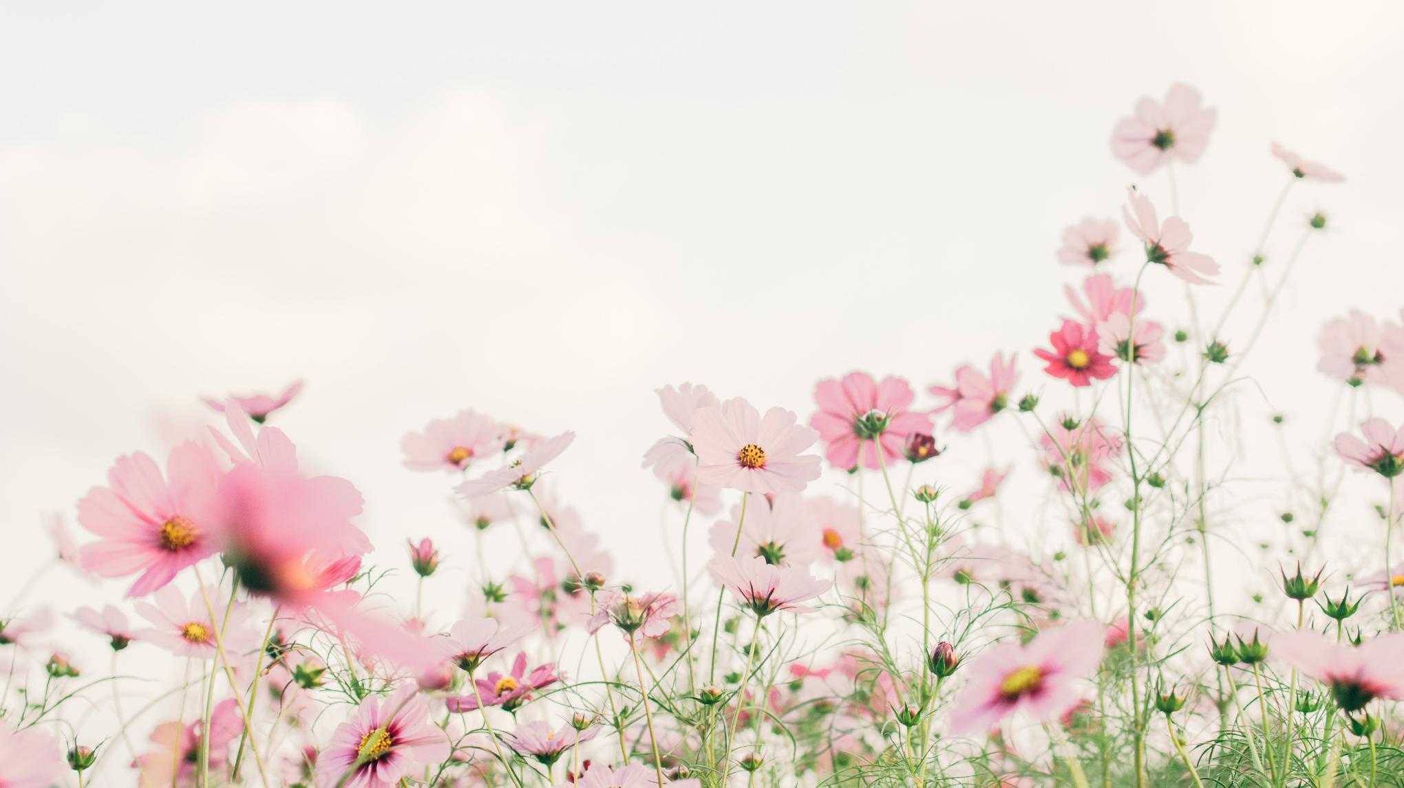 Práctica Completa de Yoga con Rocío