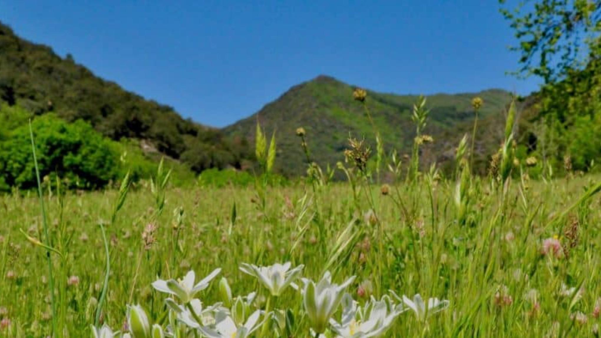 Stage de Yoga à Gardoussel en immersion avec l’Ayurvéda sur 3 jours