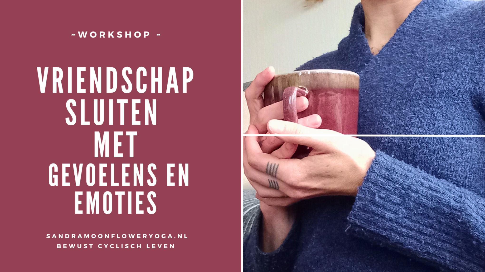 Vriendschap sluiten met gevoelens en emoties - VOLGEBOEKT