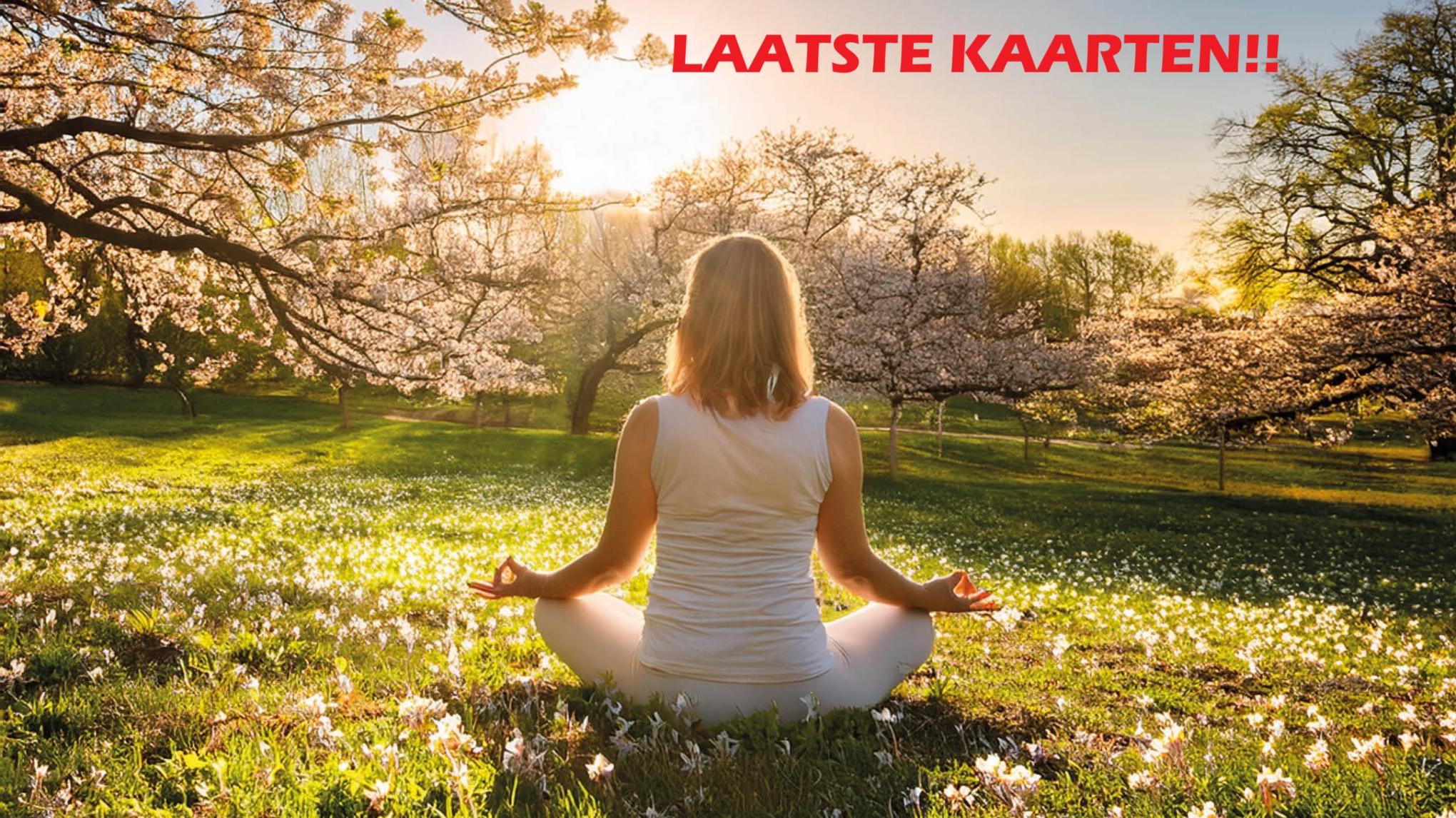 Yin Yoga XL 🌼 Lente Special