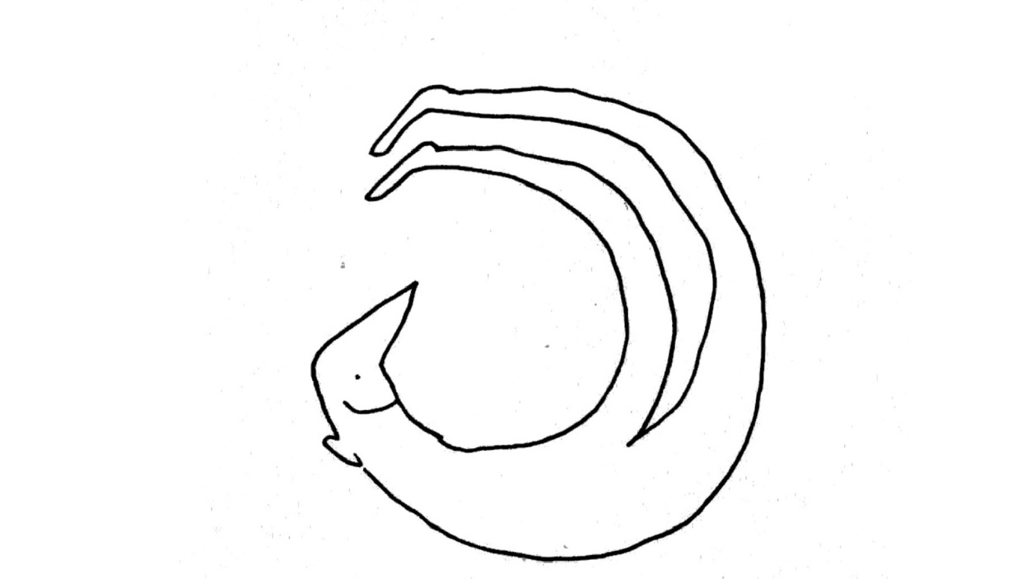 * Beweegbeetjes 7-daagse: Beweeg je Beter! *