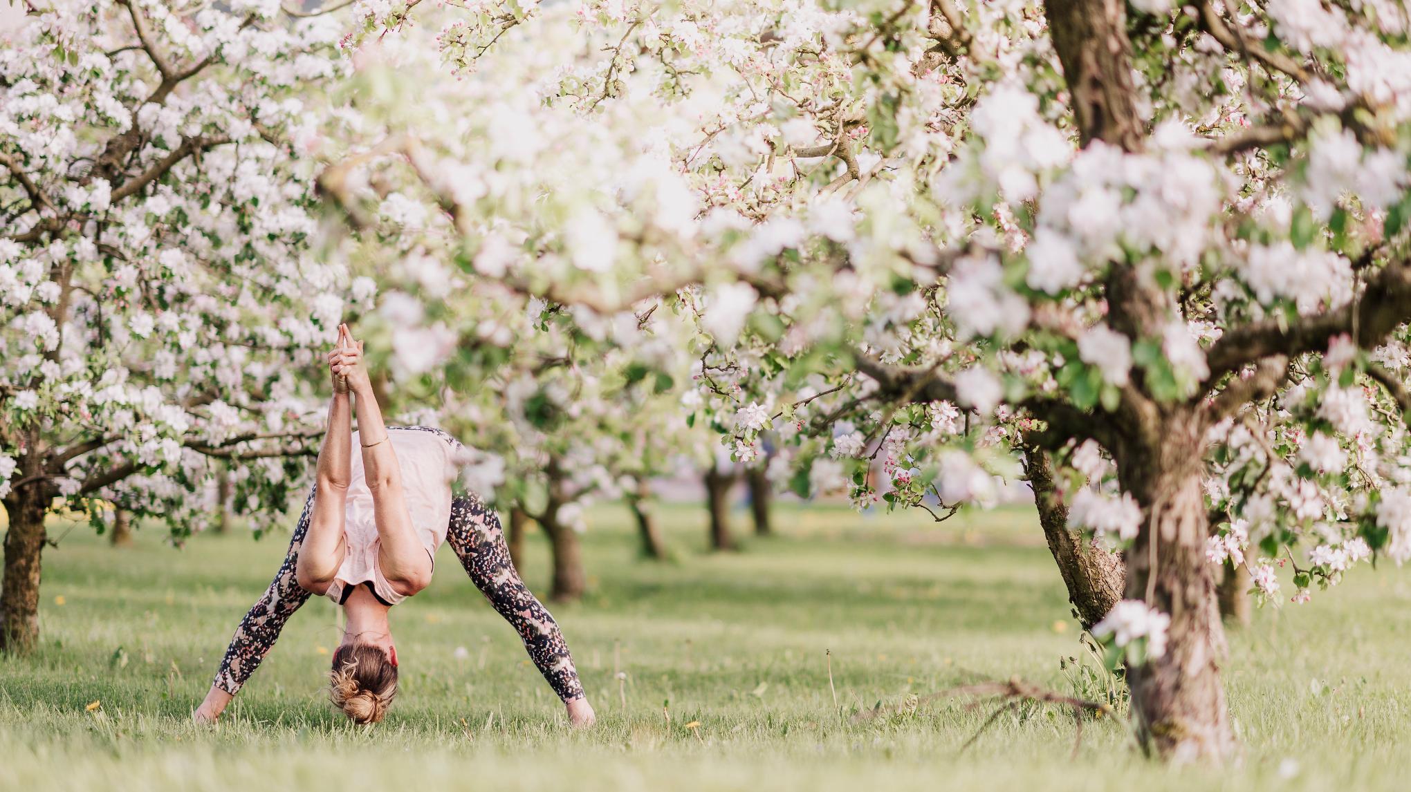 XL-Klasse Ostermontag