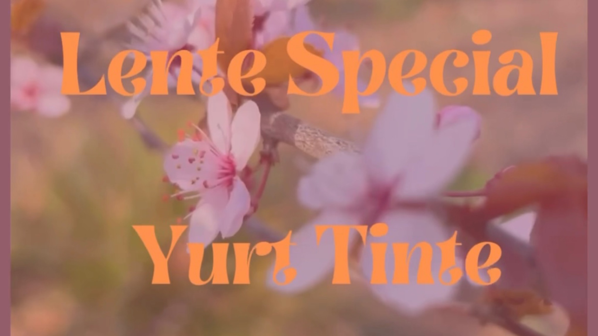 Lente special. Yoga & Mindfulness workshop 🌸🌱