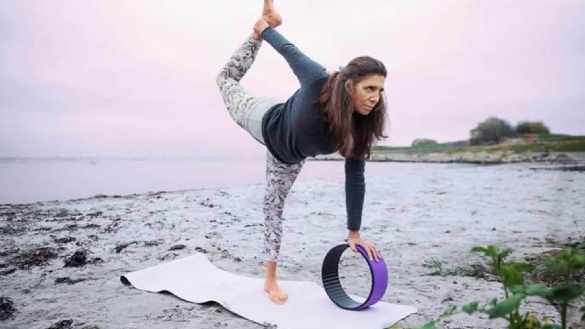 Dharma Yoga Wheel Workshop