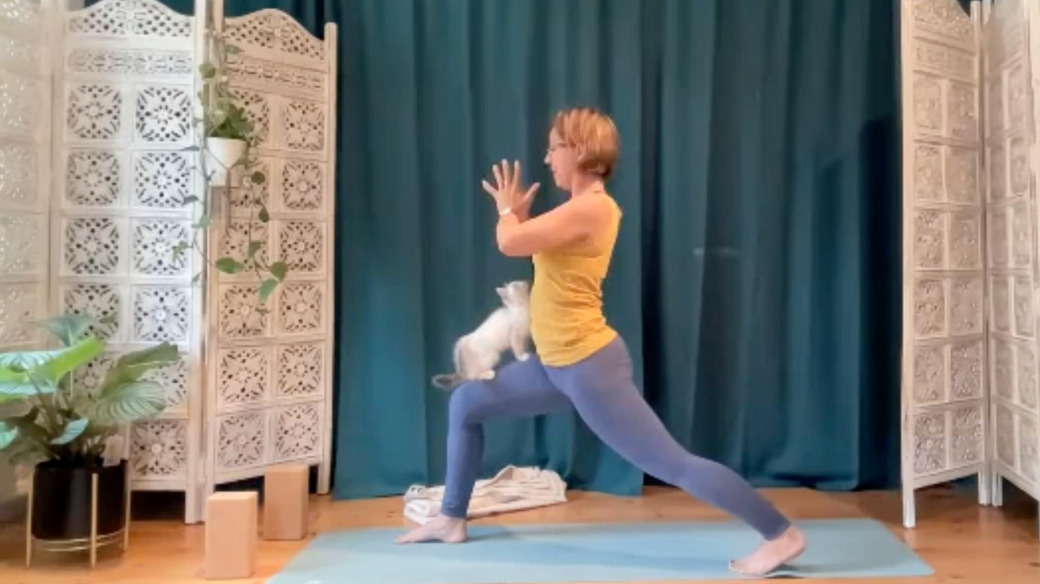 Stilla Styrka – Skonsam yoga för kropp & sinne.