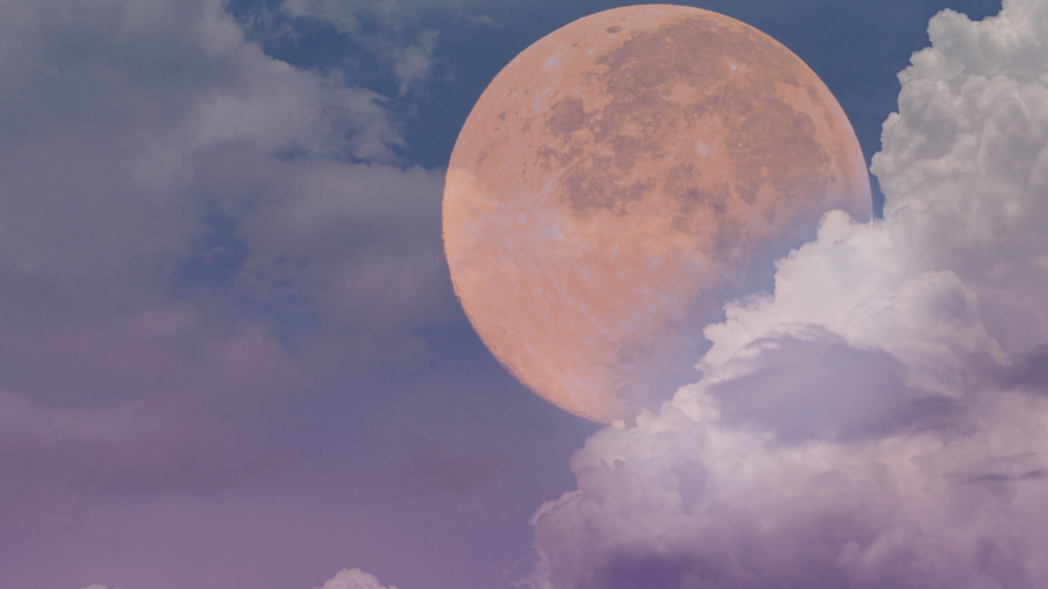 Pink Full Moon Yoga & Meditation