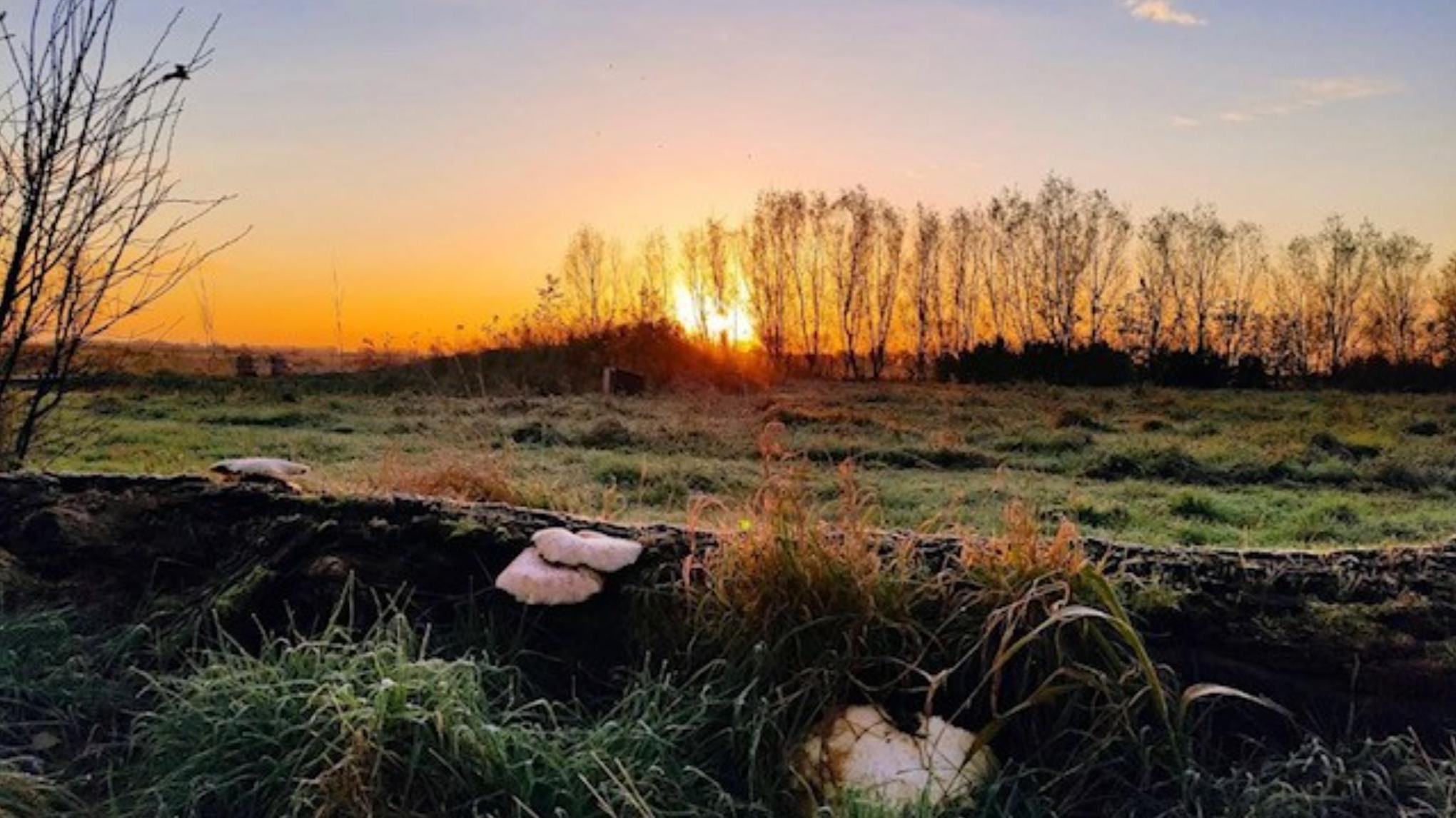 One day retreat,  Scharendijke