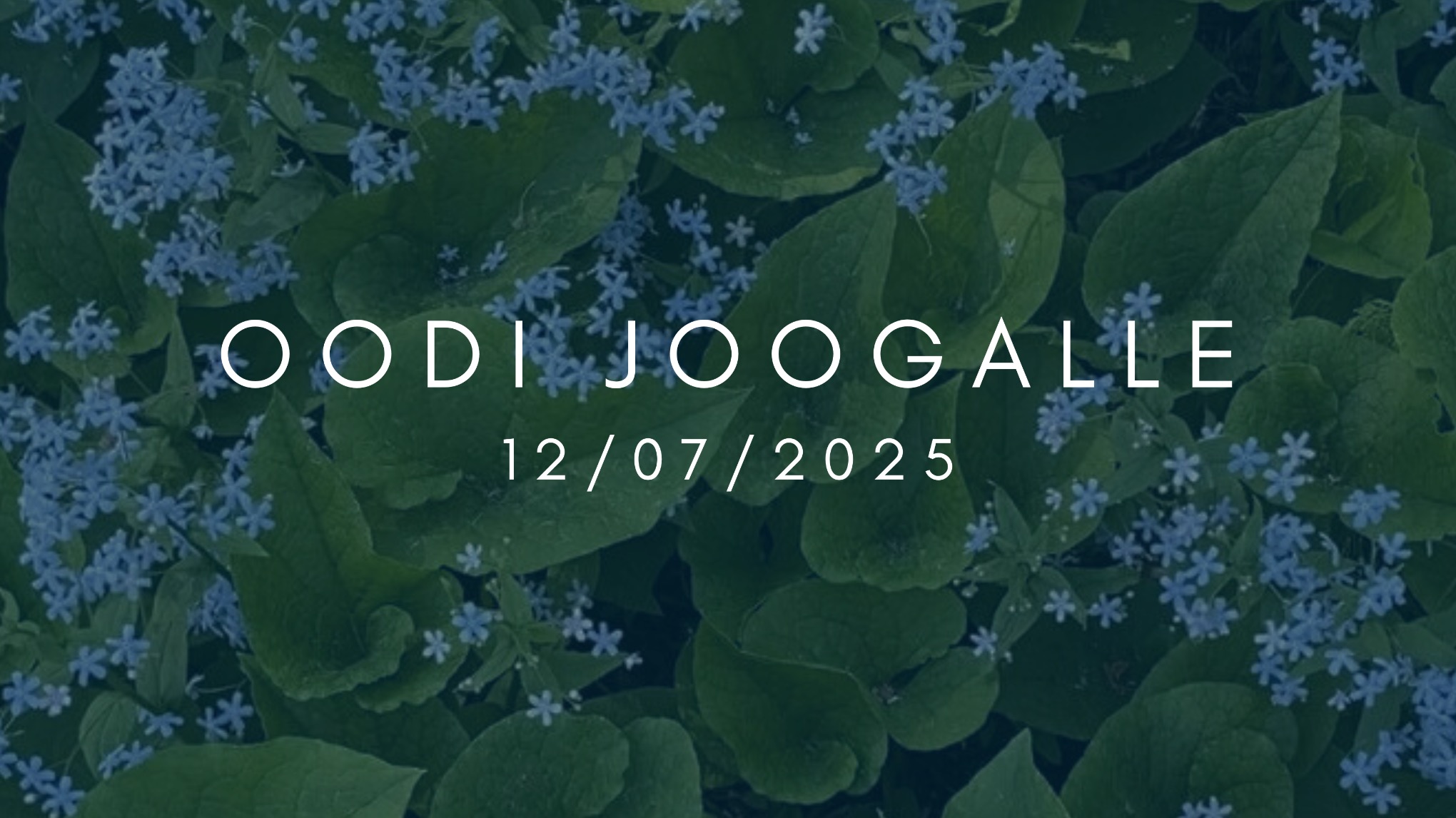 🦋 Oodi Joogalle 🦋
