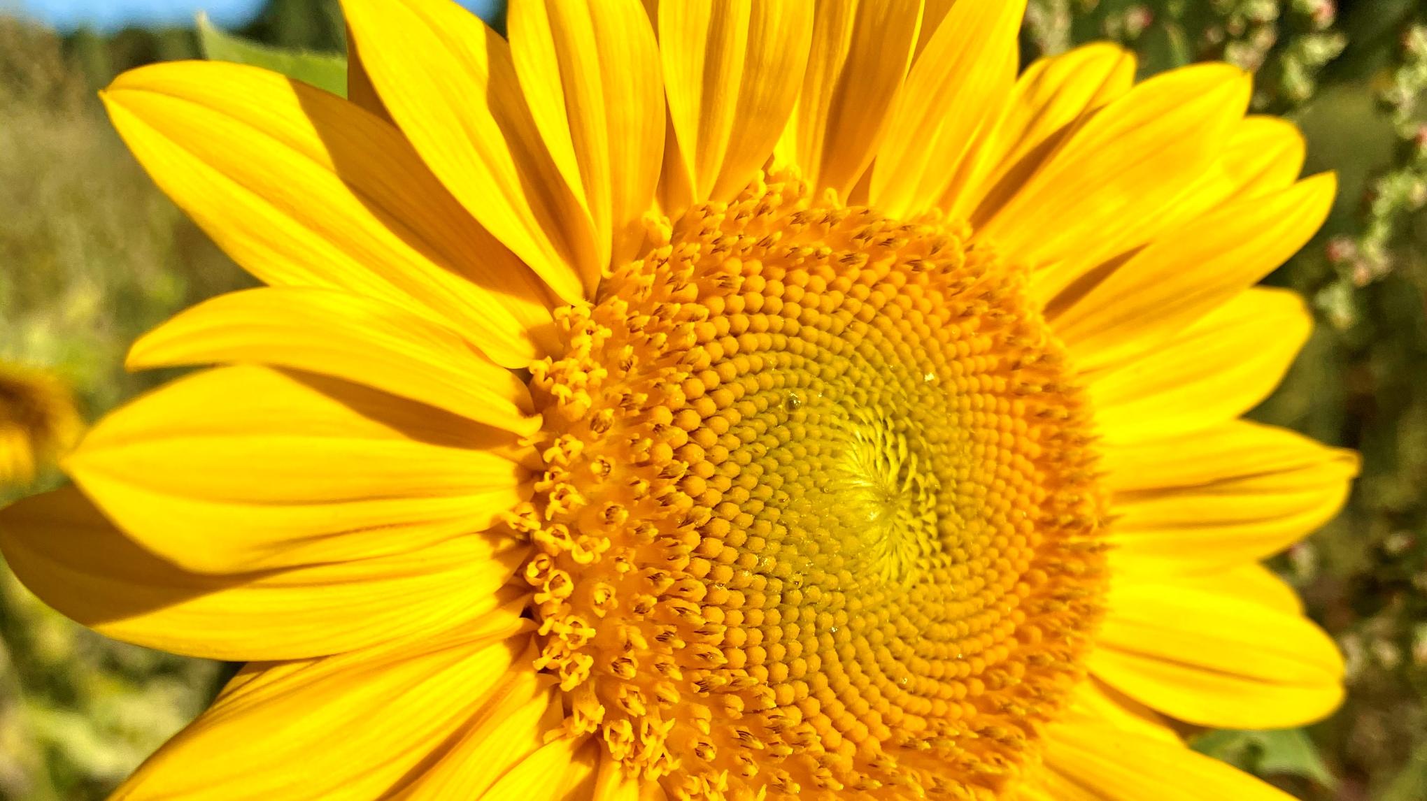 Munay Ki | Vuurretreat voor vrouwen