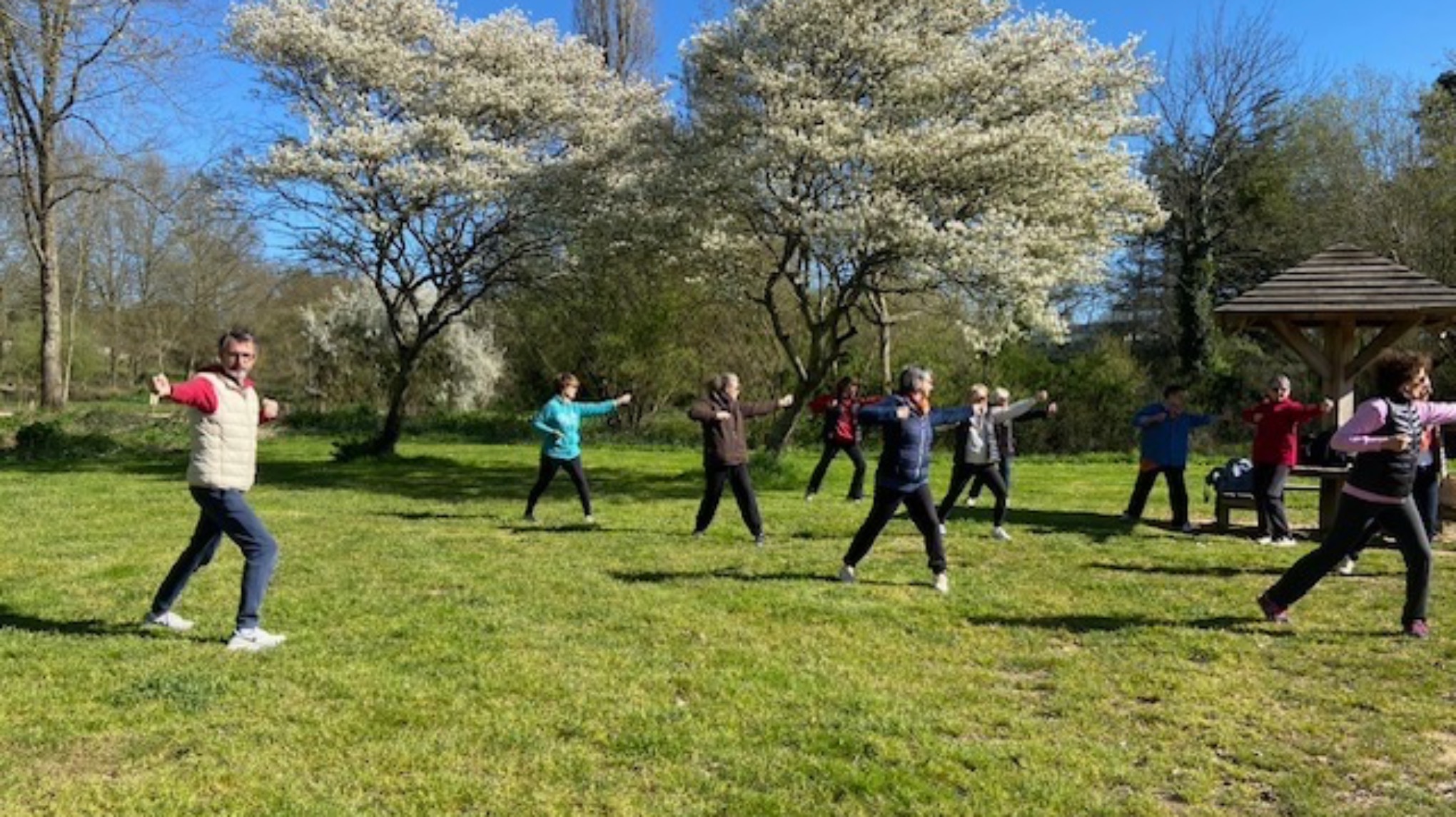 Qi gong dans le parc du Charbonneau à Carquefou