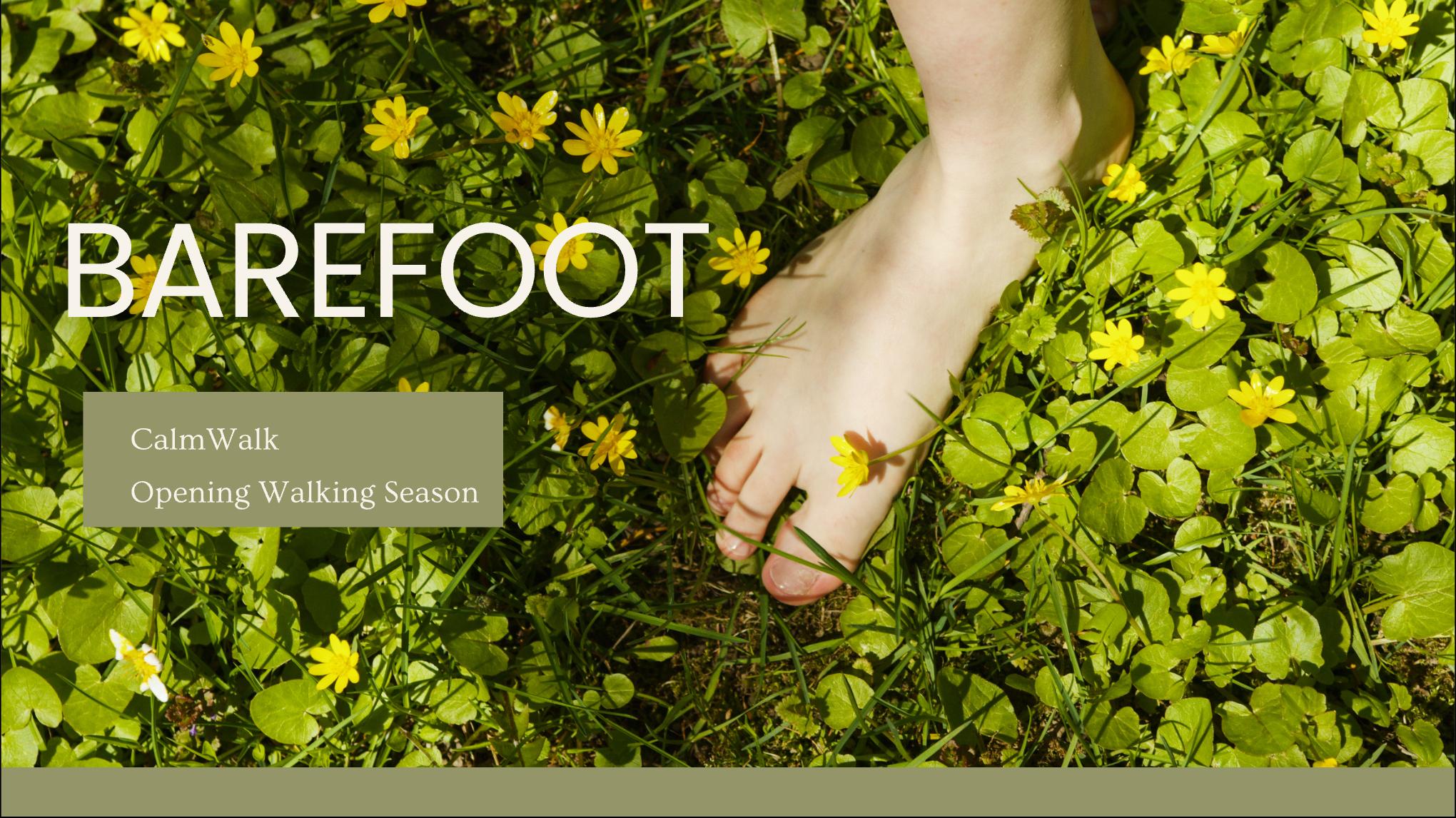 Opening Walking Season: Calm Walk @ Barefoot Path - Lieteberg Belgium
