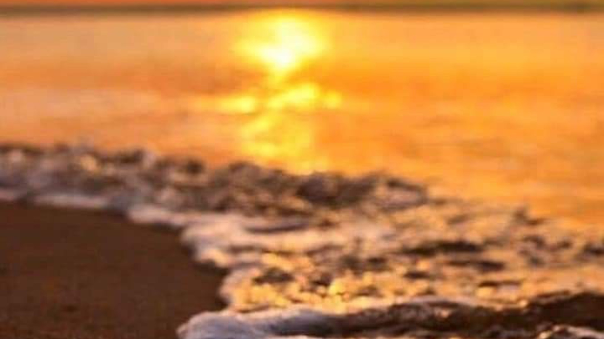 Workshop Mindtraining, cultiveer meer positiviteit in je leven!