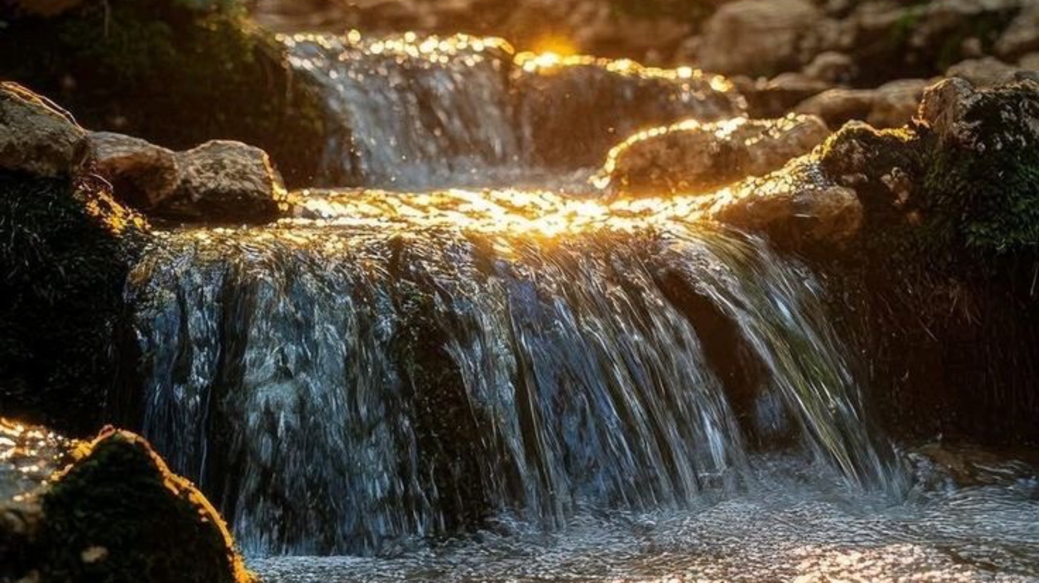 Workshop Hoe leef ik met minder stress?